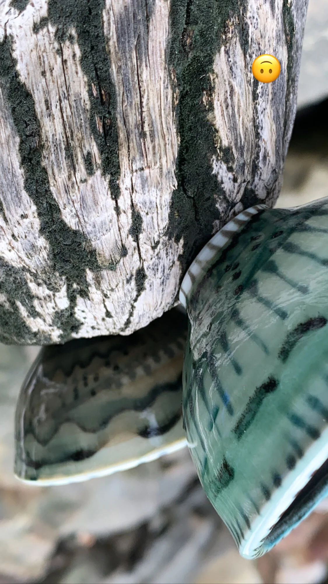 89C633EE-5E5B-4F2D-8FD5-E7DD279AD6A3