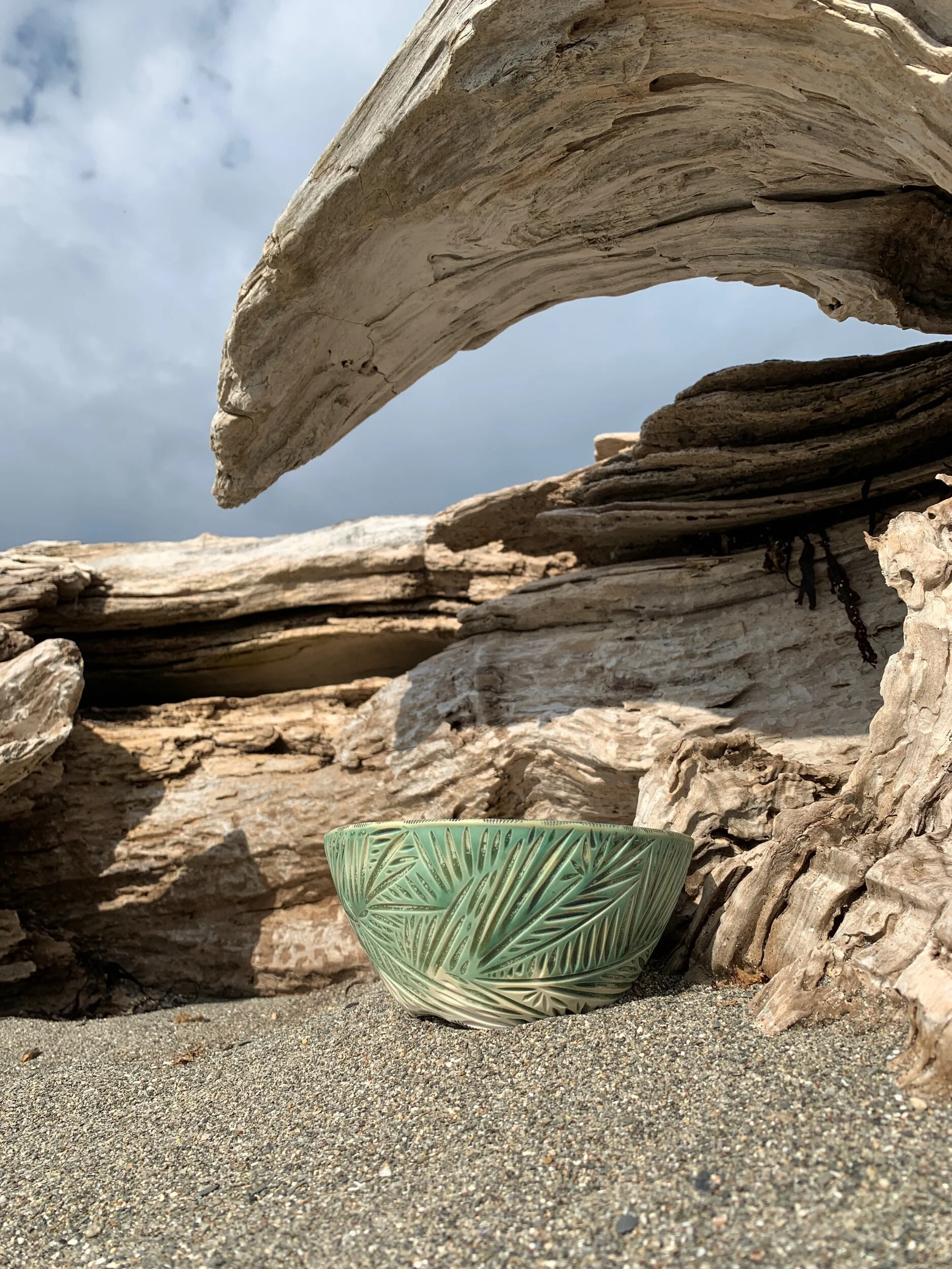 00F0404D-04BC-43D8-BBA3-02604842054D