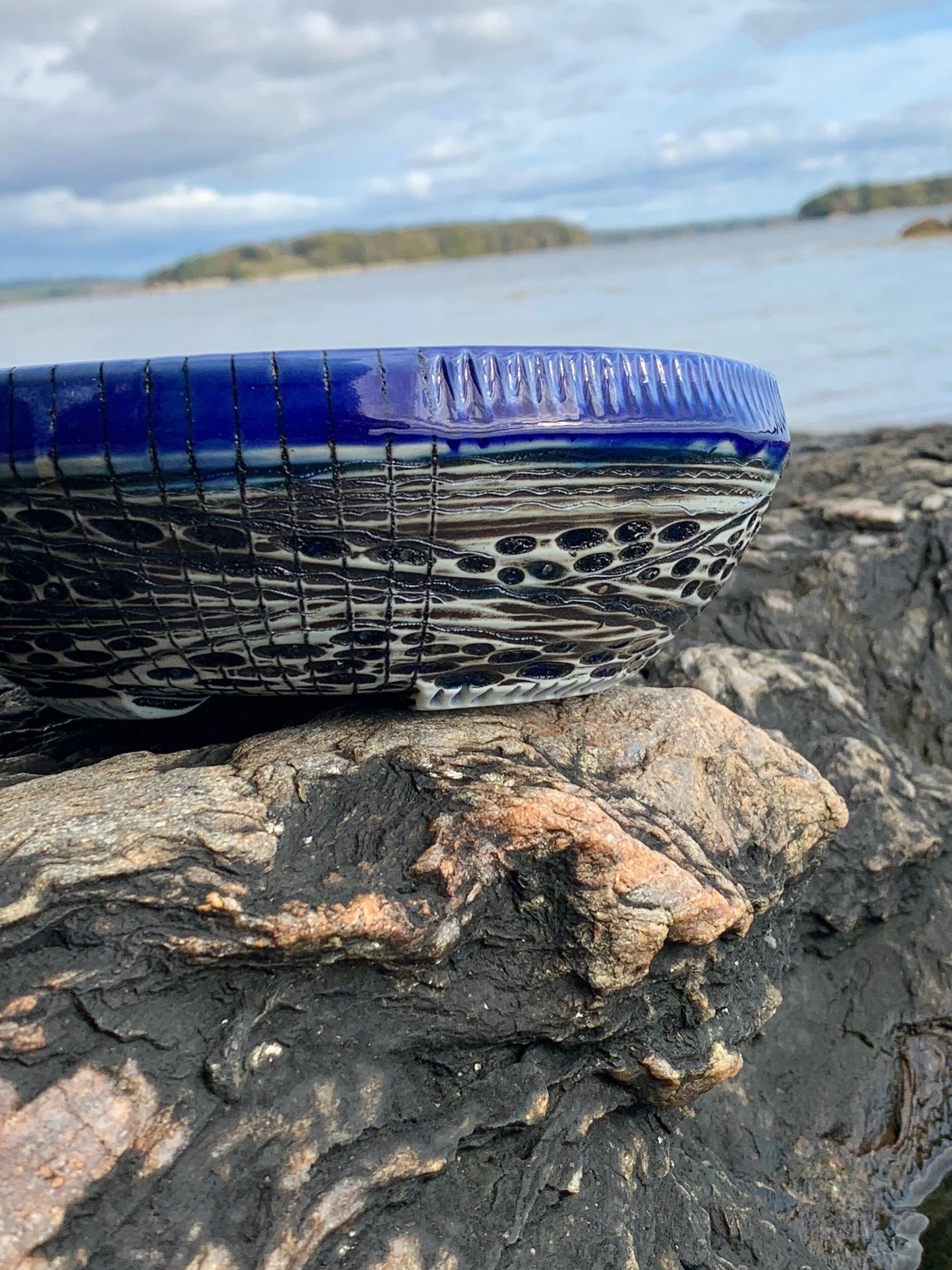 AA87E445-5920-43DE-BFC9-5E214ECF0099