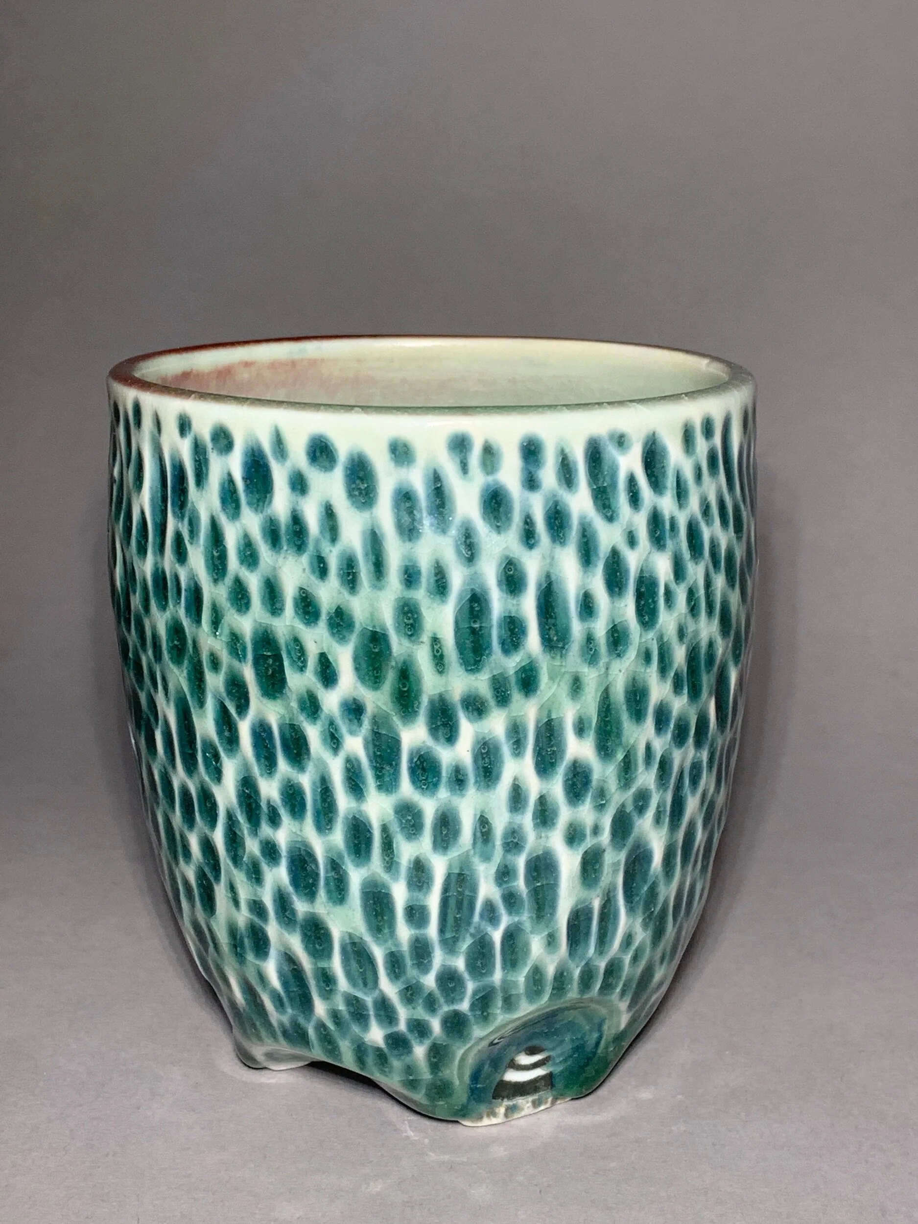 FA36146E-71C6-4519-8398-1134C9B05BE0