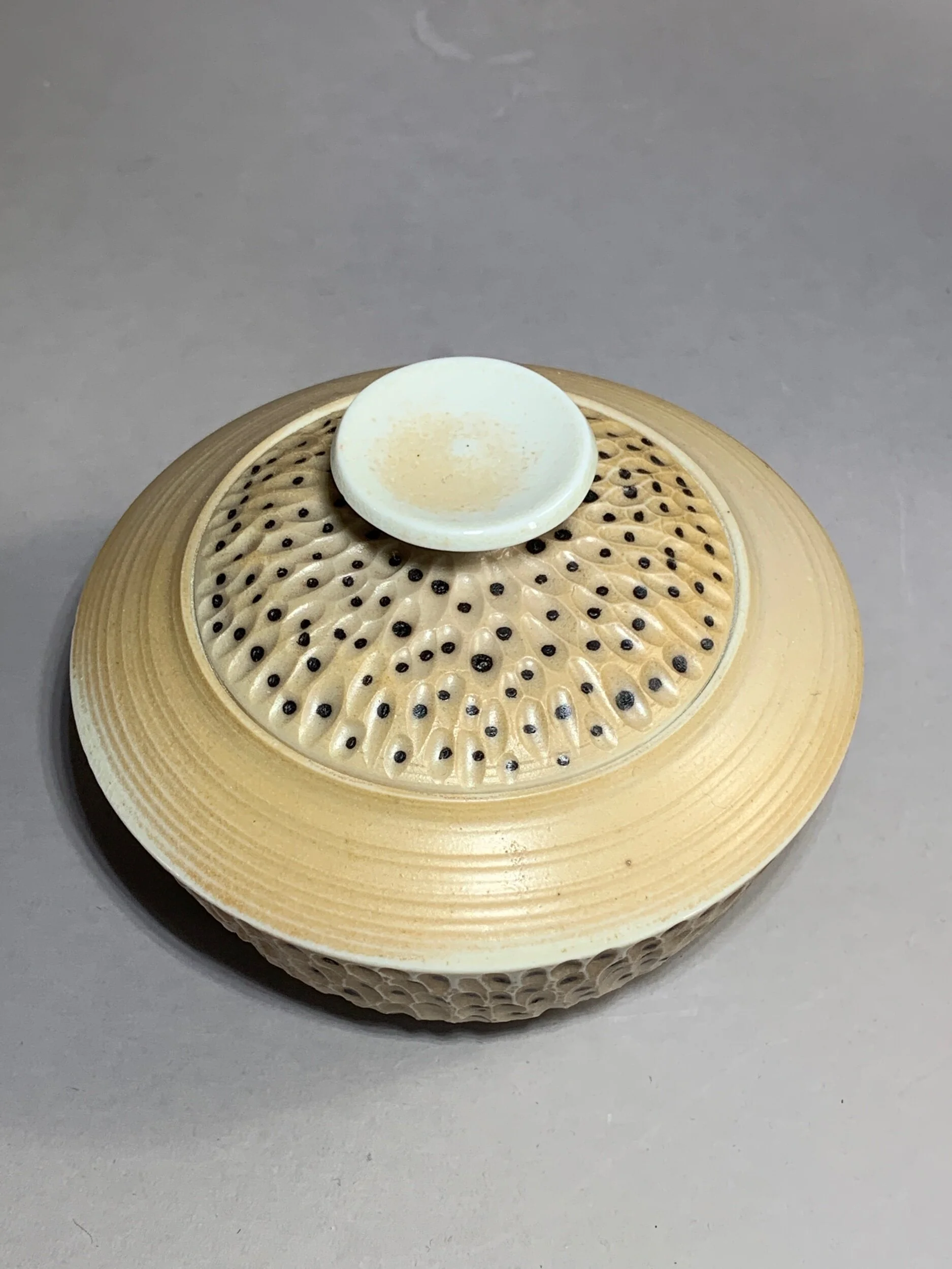 A07E87A5-7EB6-475B-8123-3E87D0BC90E6