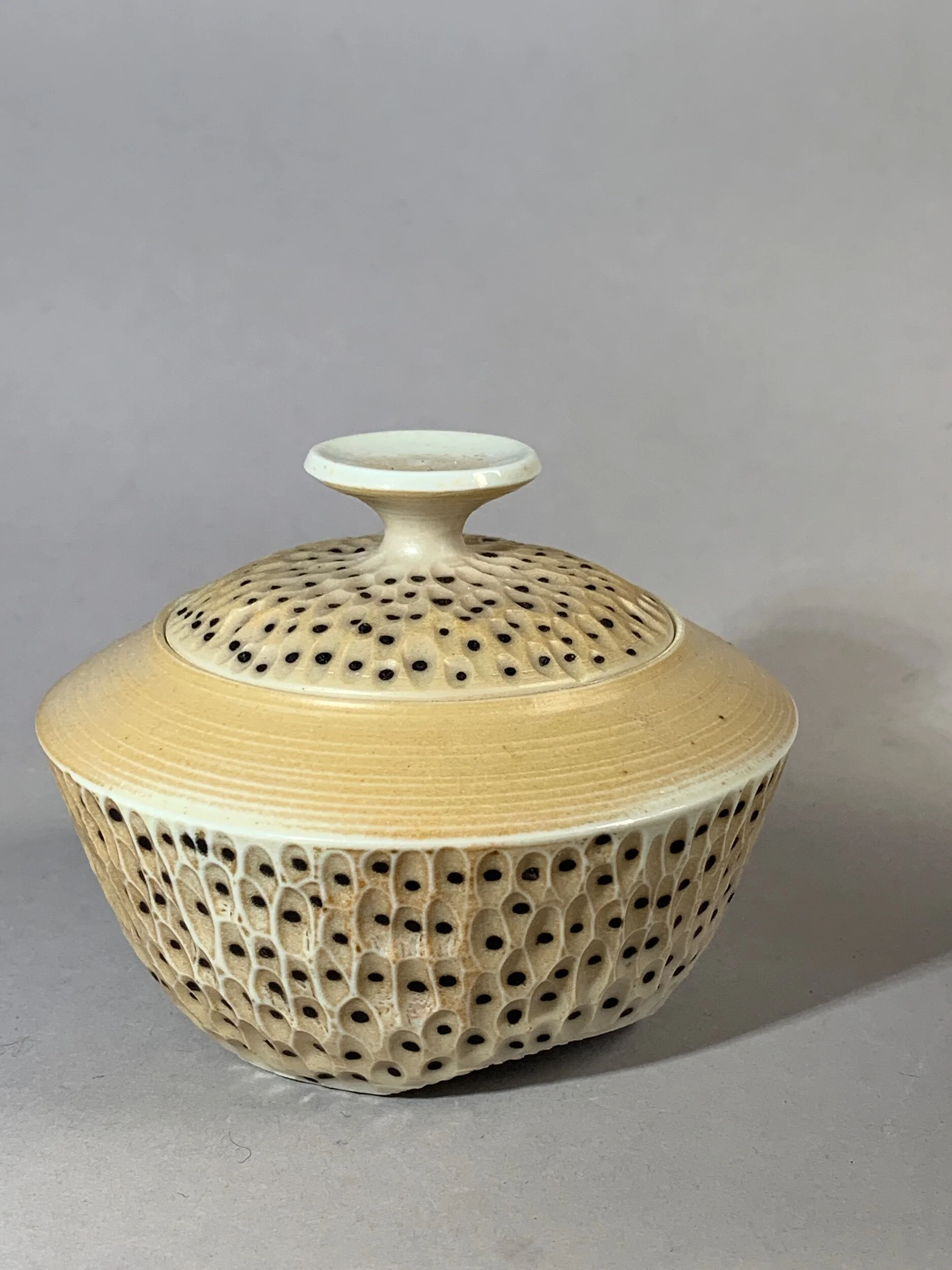 8C1067F0-8C8B-4669-8387-D5AE30F7BE0D