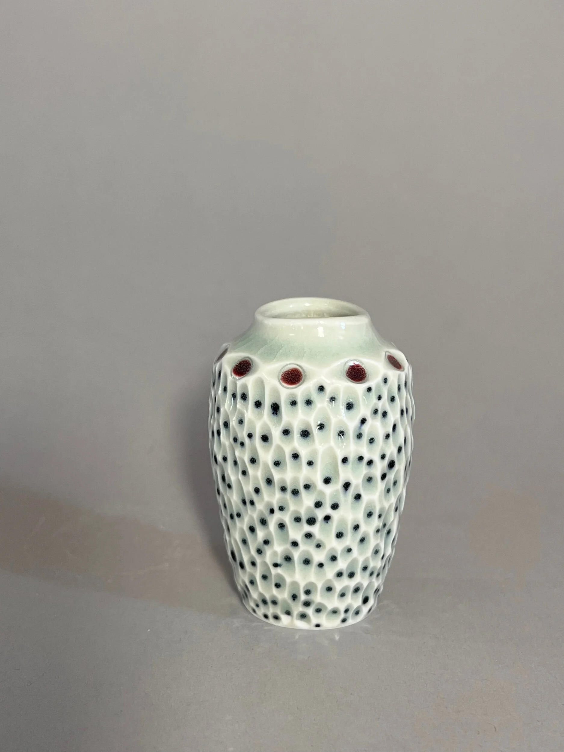 ADAD0CF7-2D29-414E-B6E4-647CF1DAC046