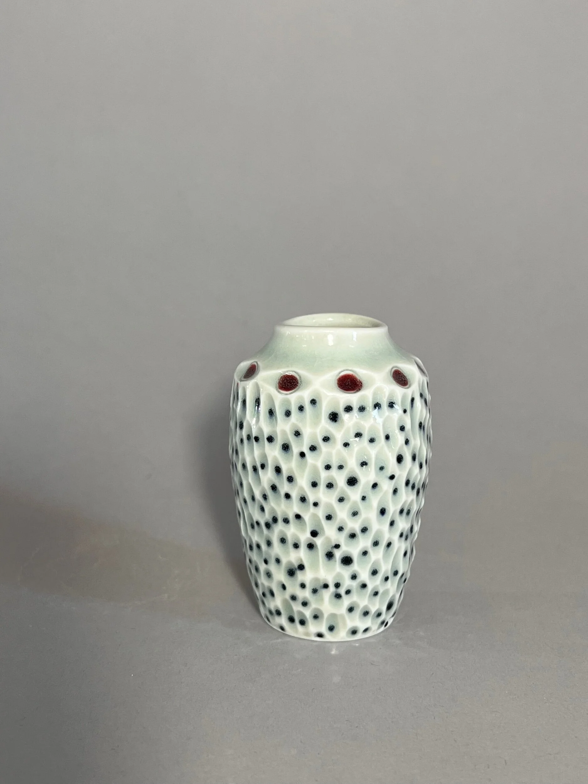 12148595-0E08-4DA3-8869-2E74824DEC54