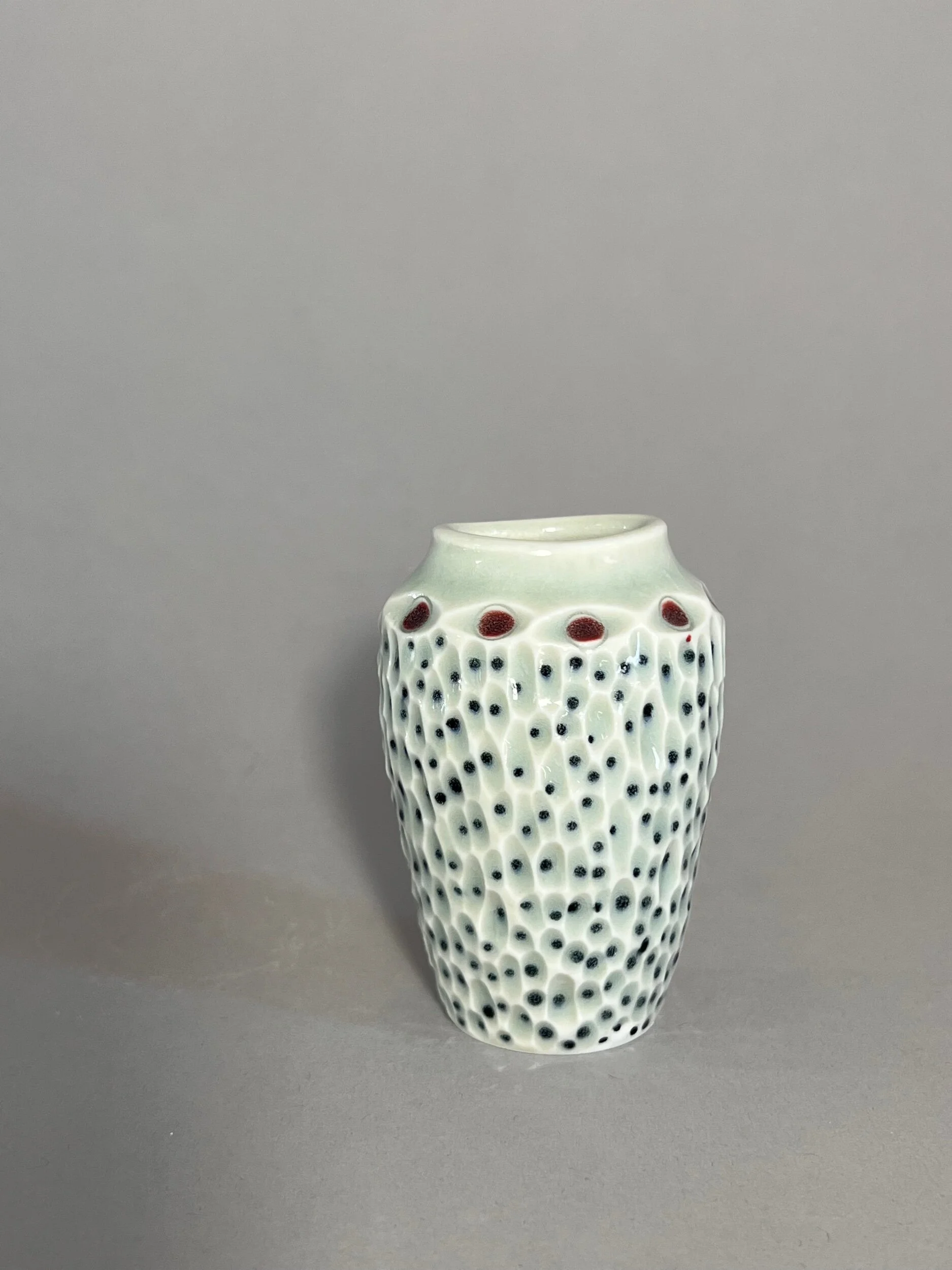 EA21E535-FE82-444E-ADE8-ECB764627190