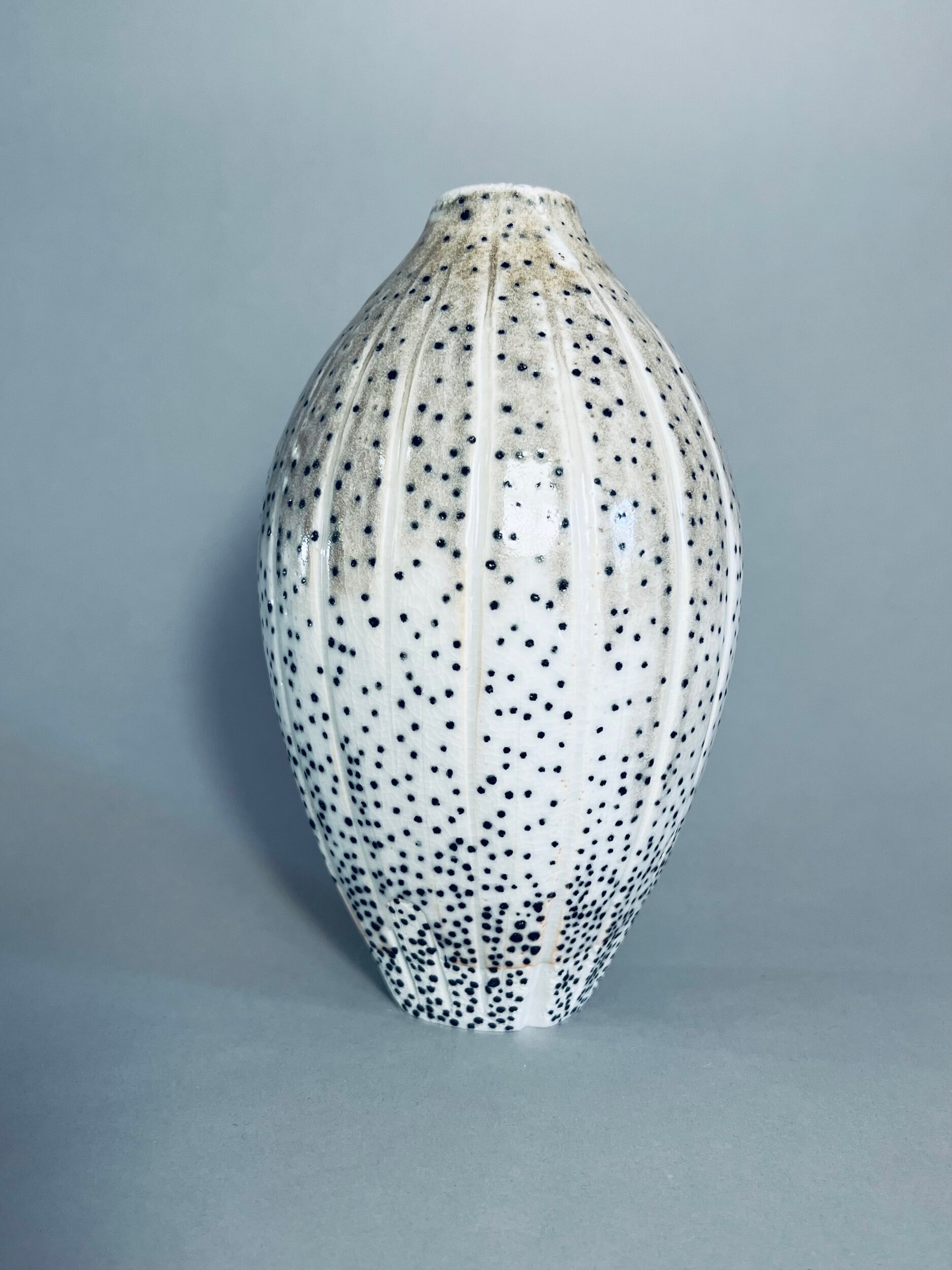 EDDCD554-7730-4899-BAA7-B0CBDA919C70