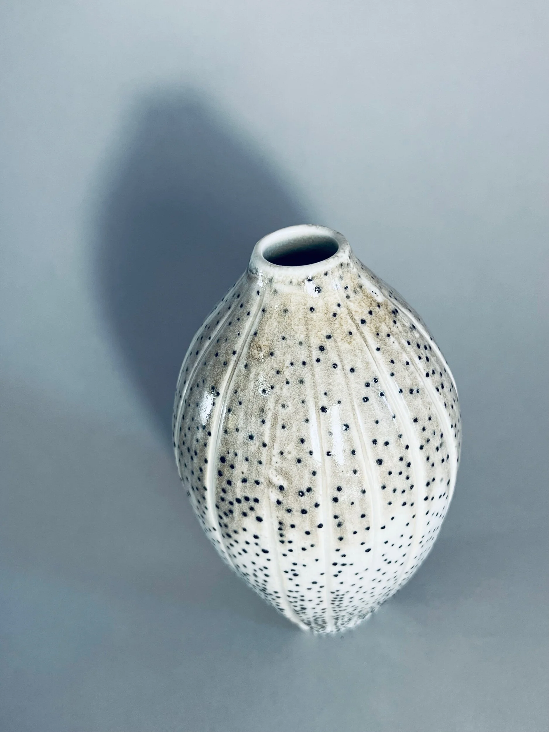 8988F9A3-DDFF-4D9E-8FB7-701E20CB6033