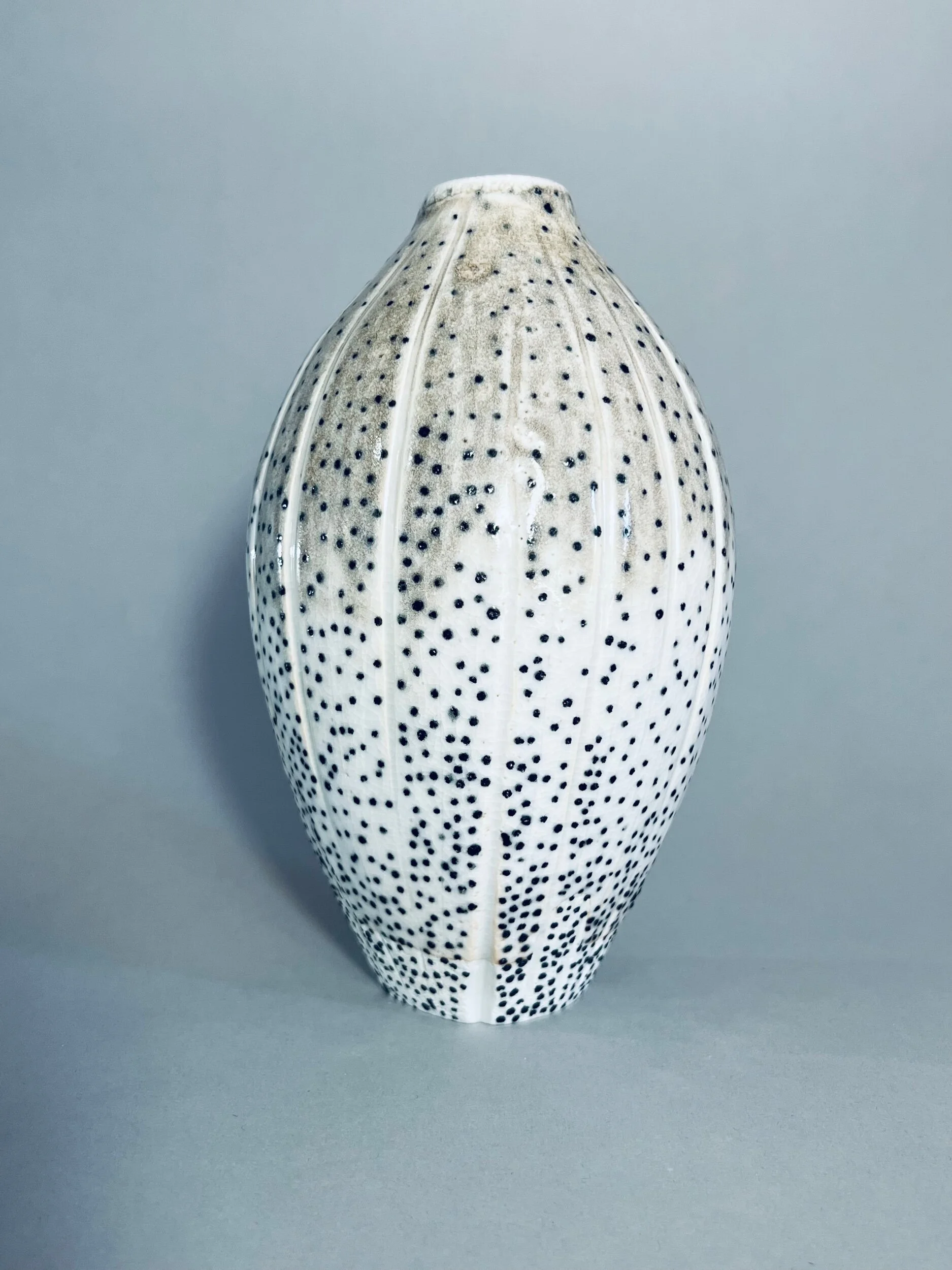 A6DC65FB-8FC1-4D44-81E0-3B991F8FE735