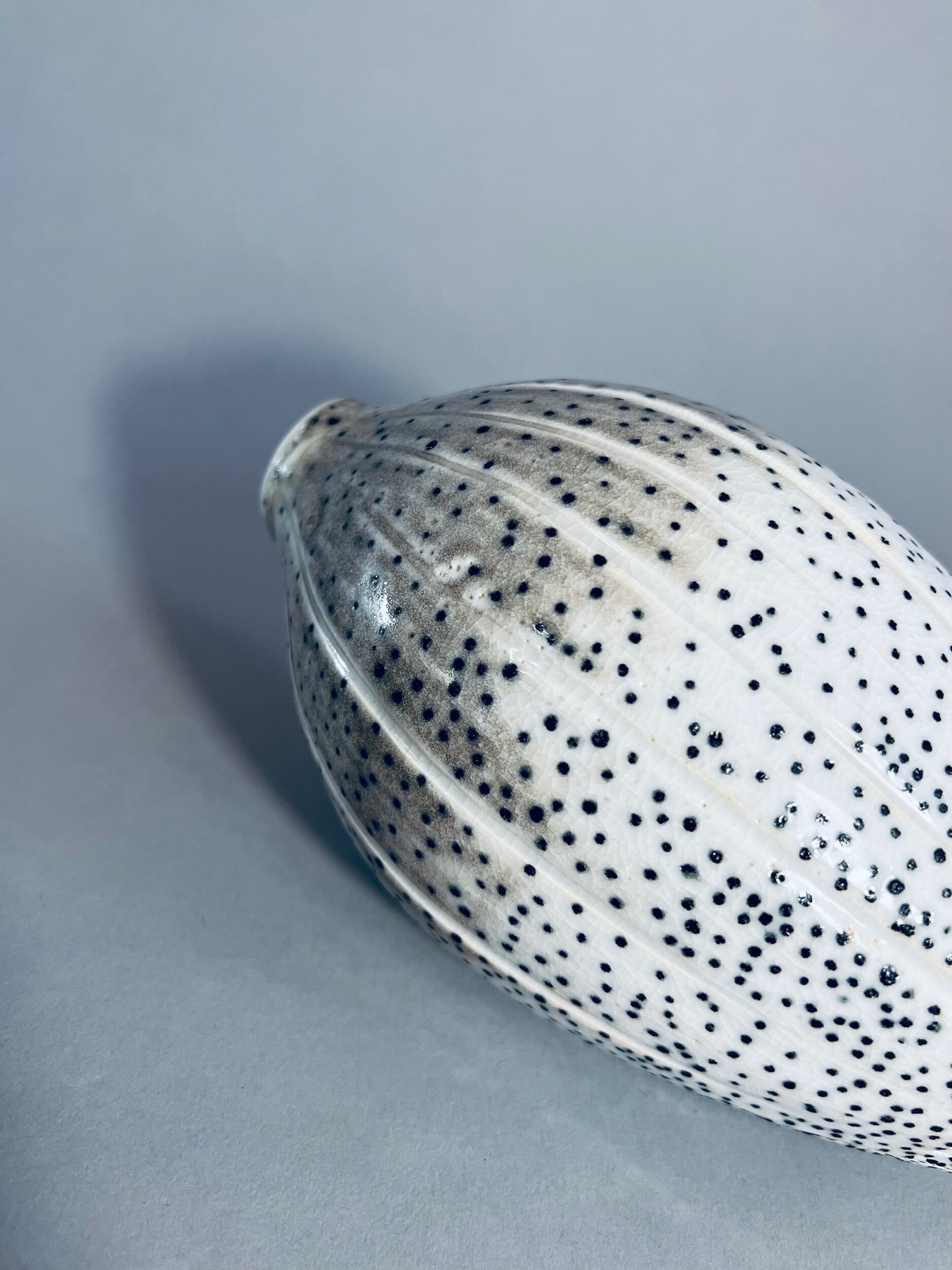 3AD3FD31-607D-4223-8E05-99ADDC6711E9