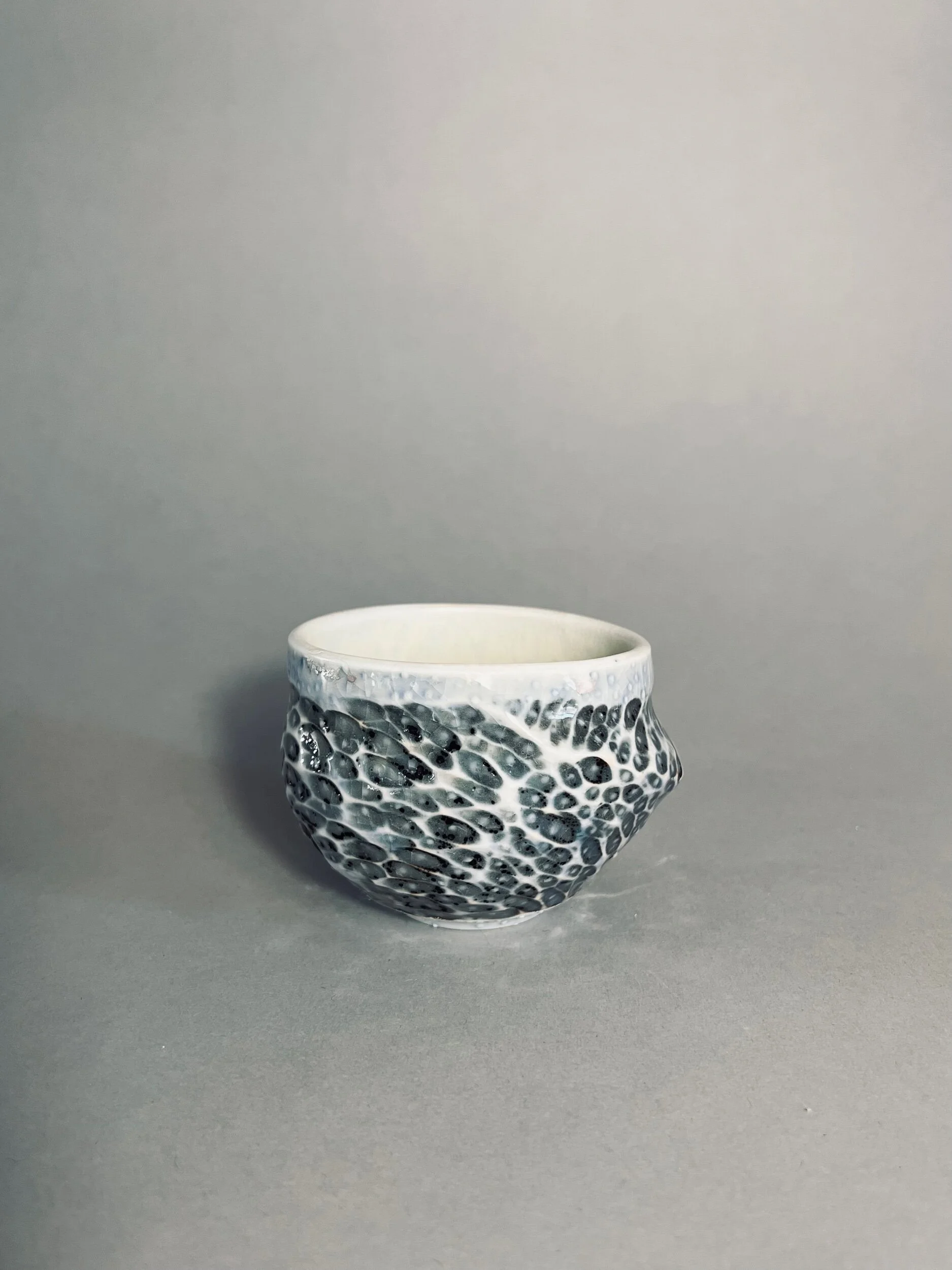 146FE8CC-85E4-49E5-B00D-188BDC0D458F