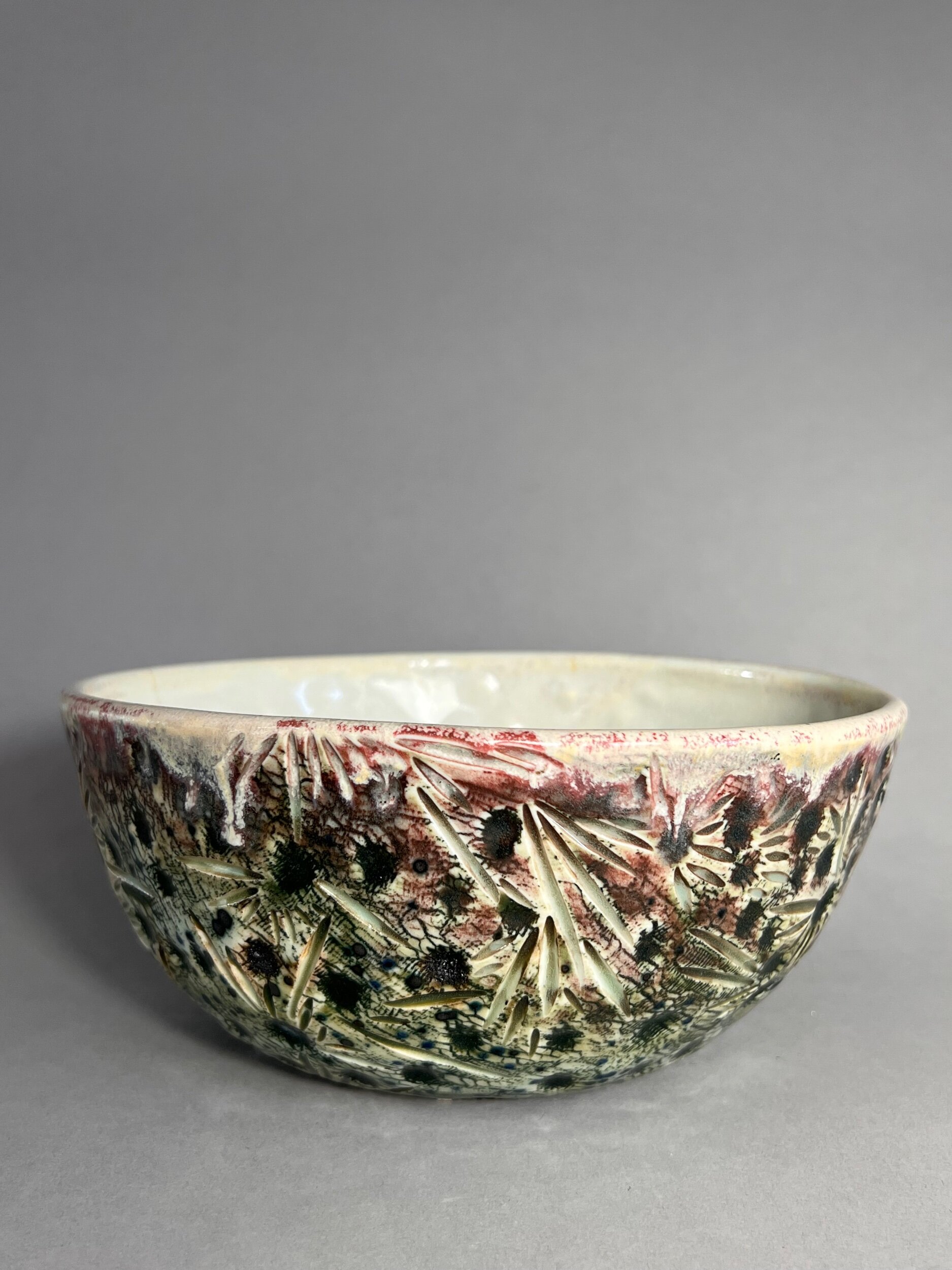 4F2ED1B6-F106-46B3-8567-628F0A480990