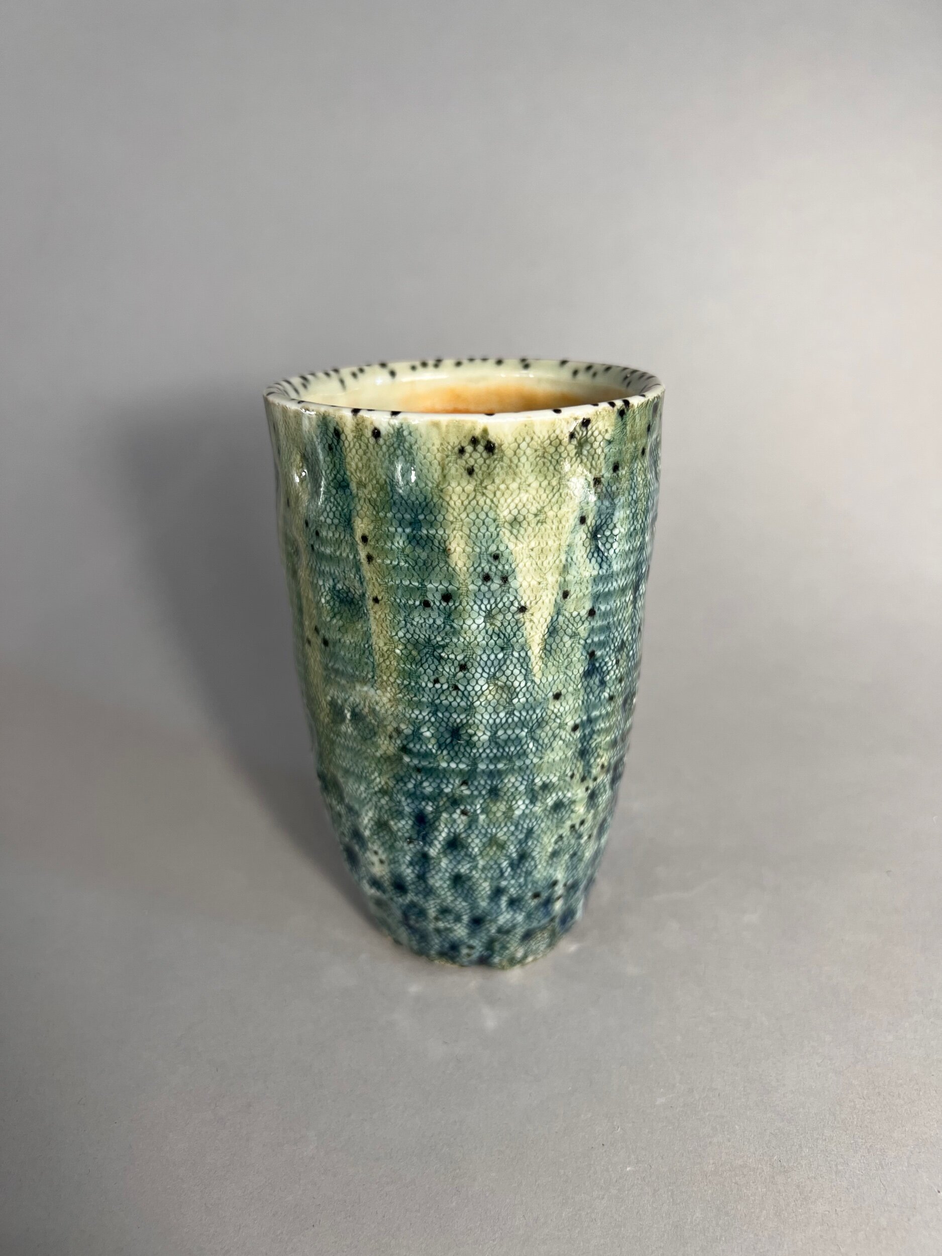 67C6A1AF-756F-4D2A-92BF-F0F79073B974