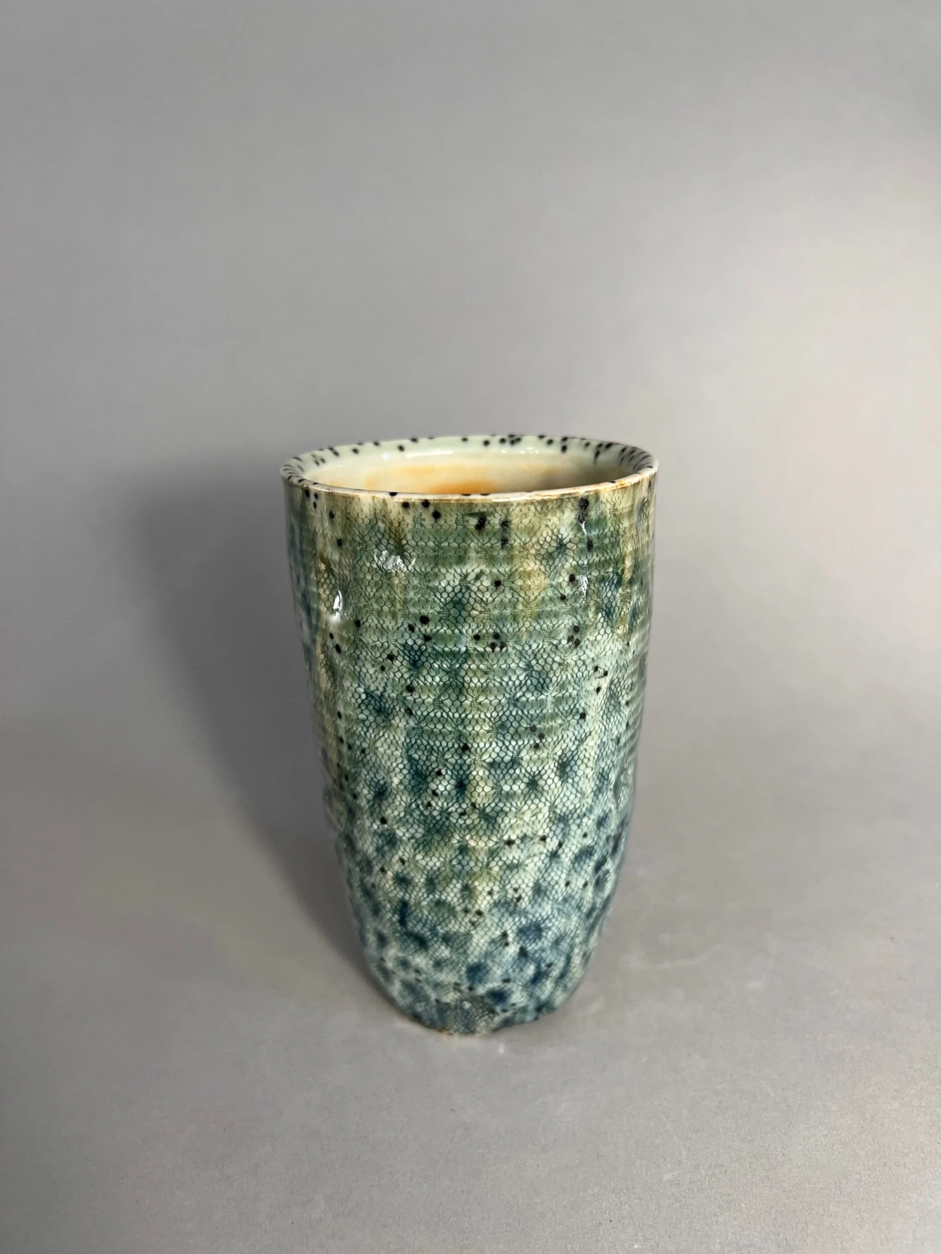 A7EA4C35-CF63-4971-973C-B226E362AC1F