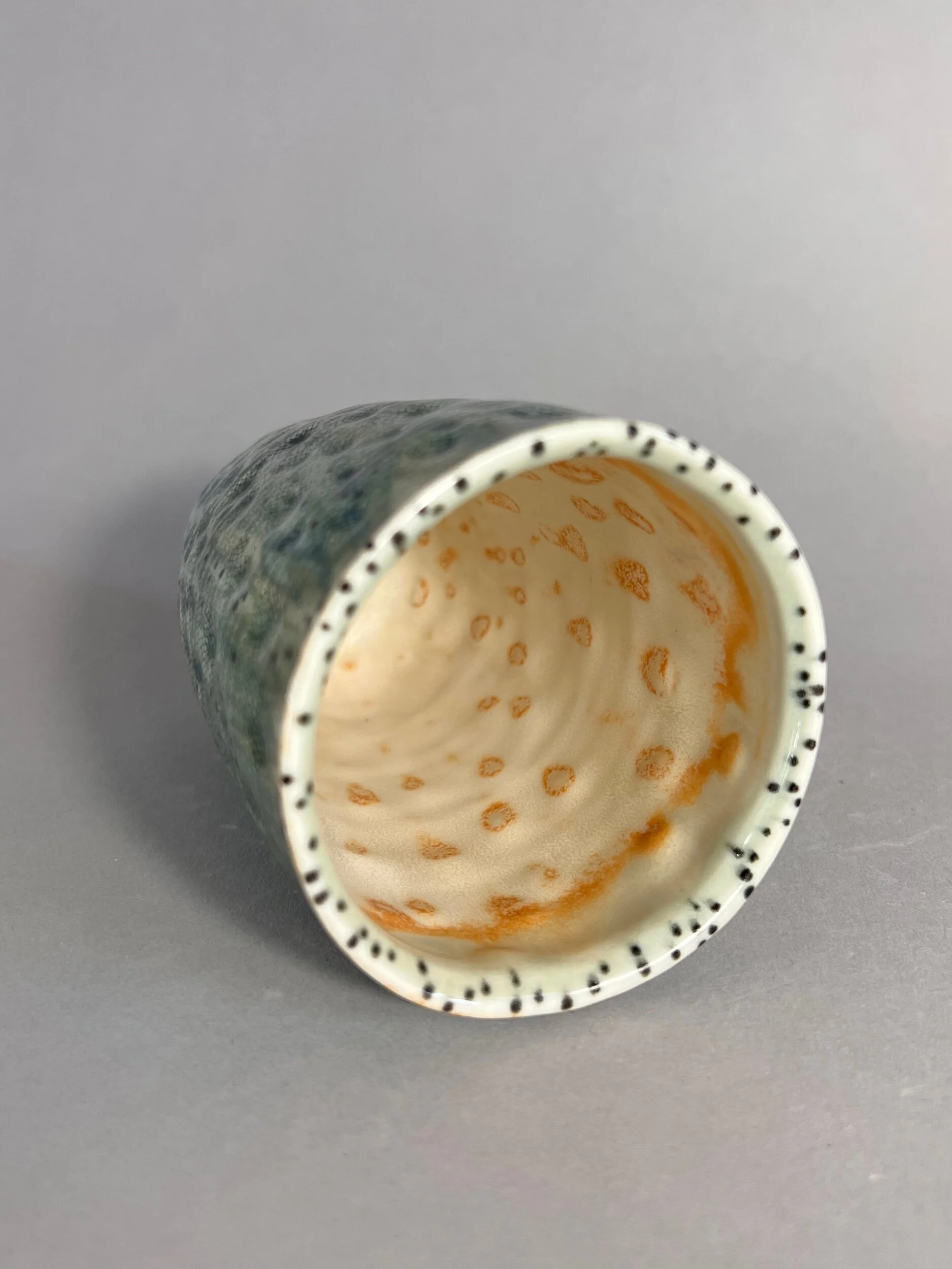 C455E7B3-DE34-40FC-8522-89578BBE6166