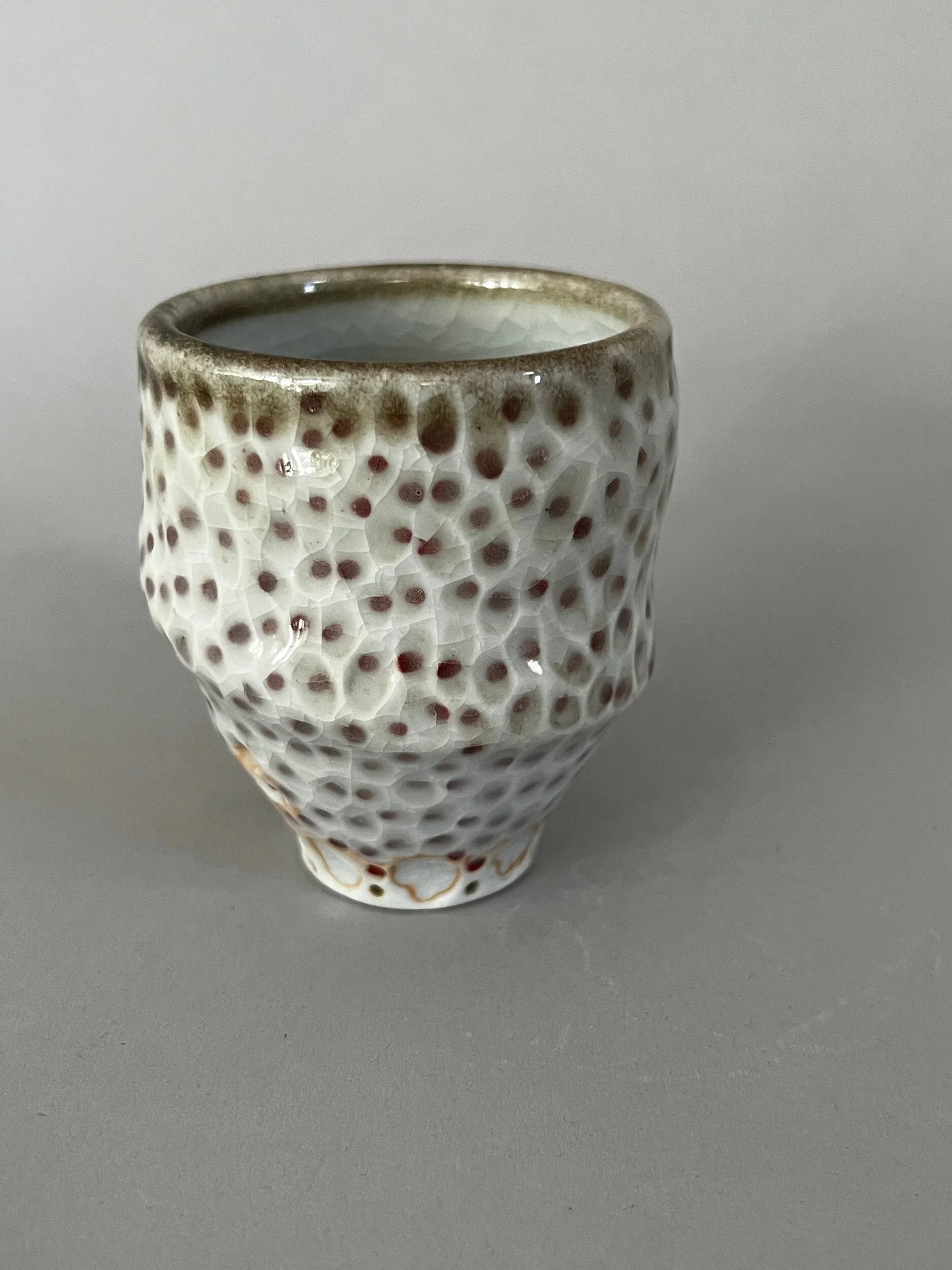 D1066385-9FA8-4133-9591-24EE4BC2E9CD