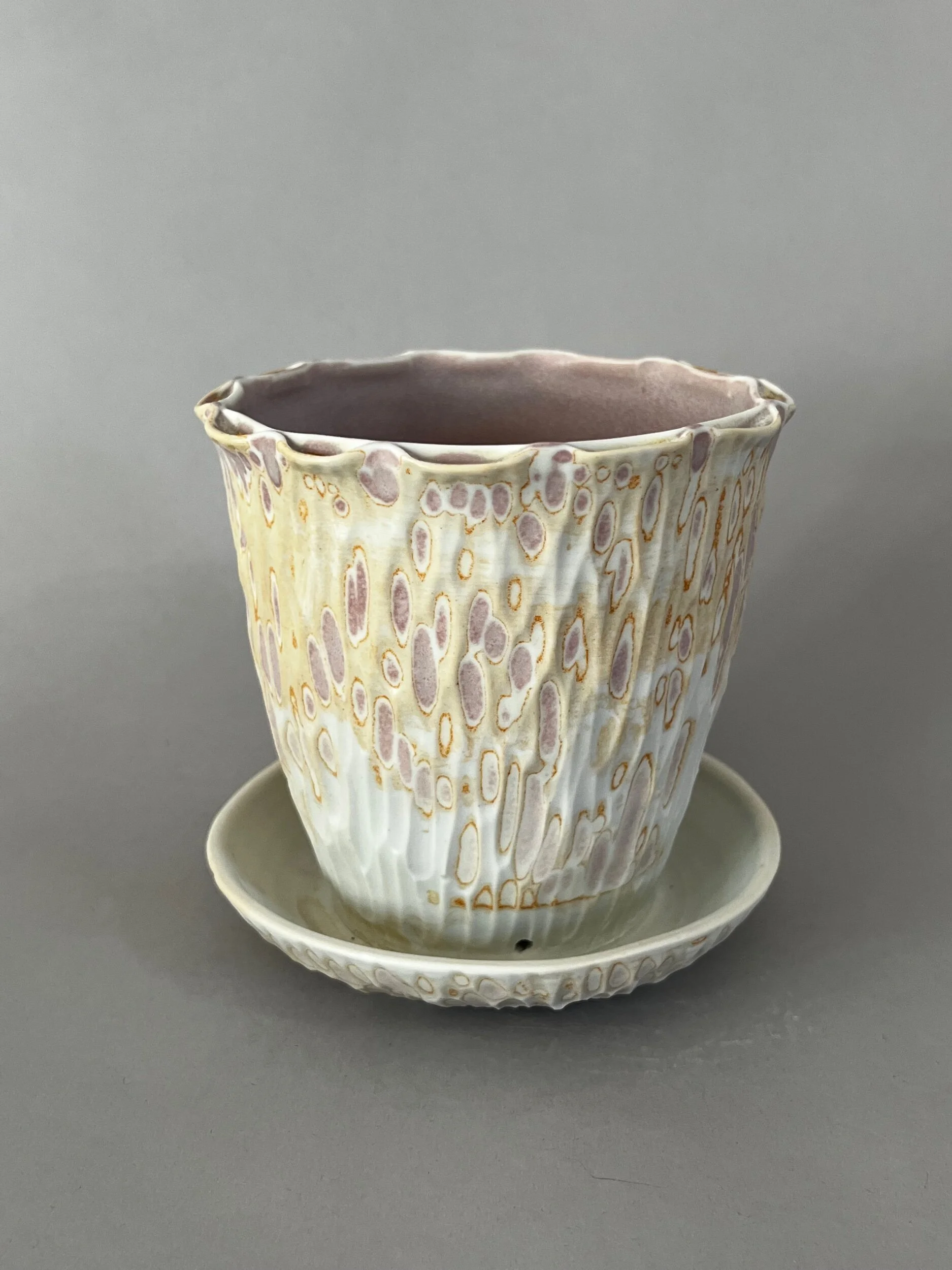 67C6B801-0813-4A22-9812-9F8FF0344341