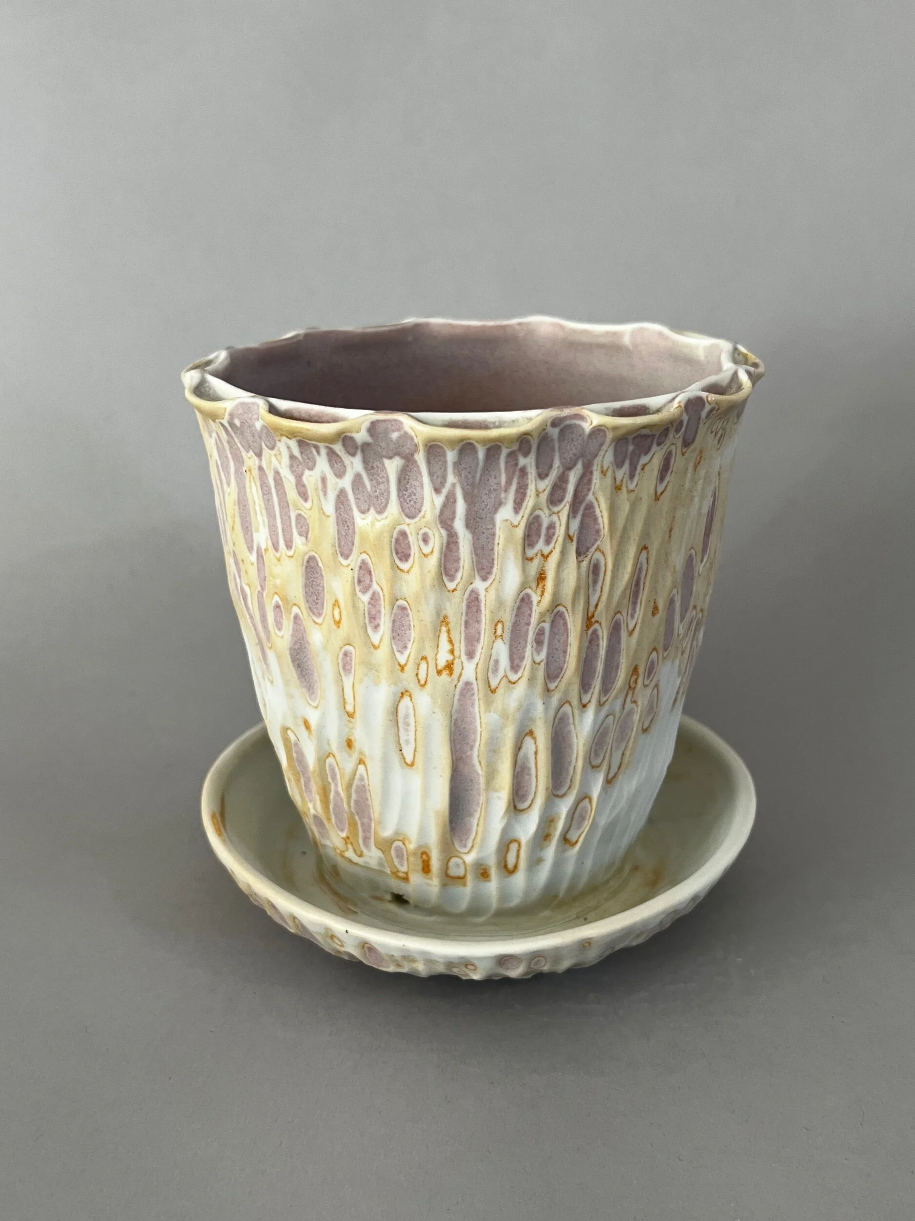 7CE53AA3-4417-446C-83B7-C59C1154A0A0