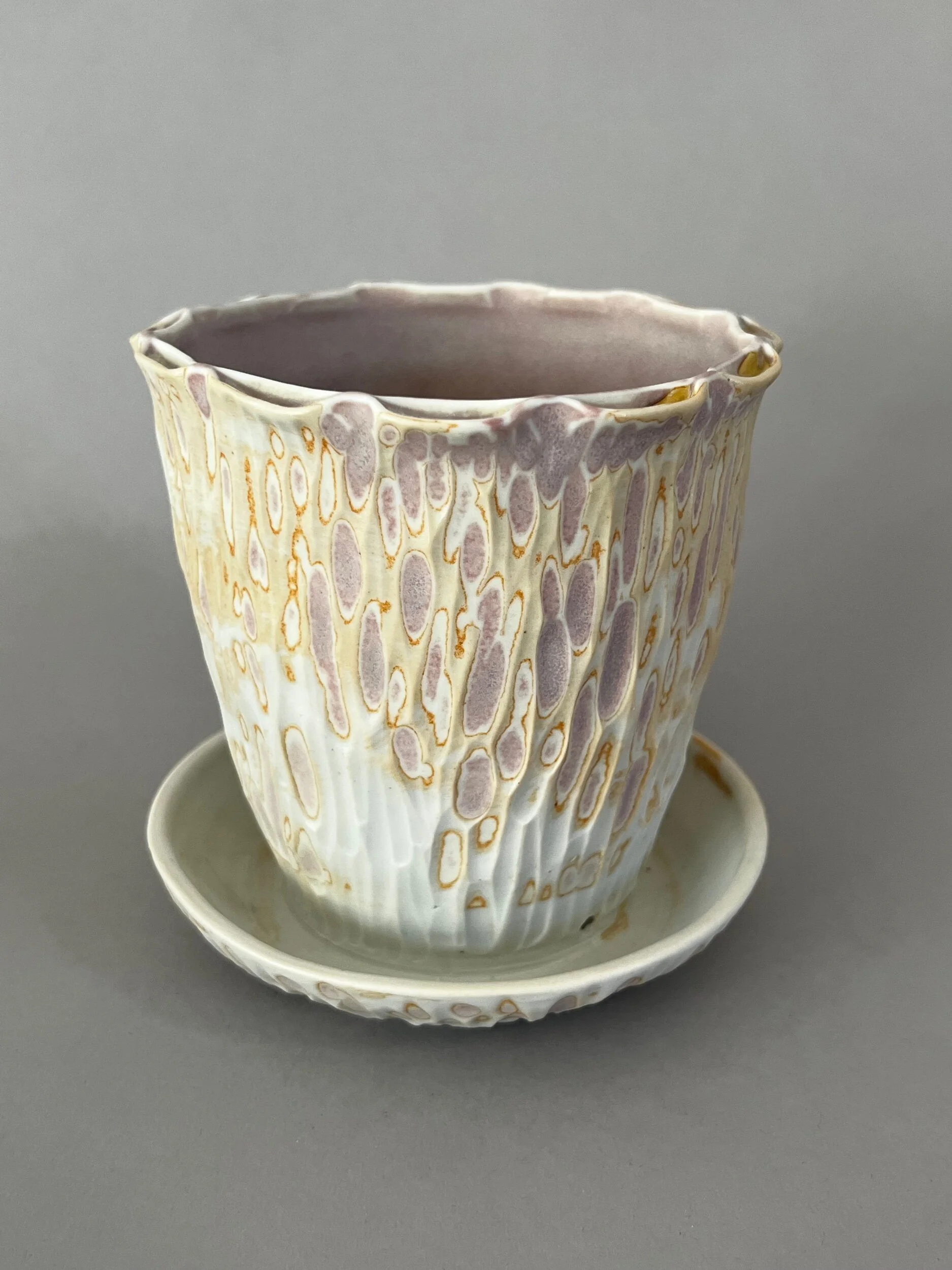 A4543CD1-CFF6-4652-9016-D7323C33257B