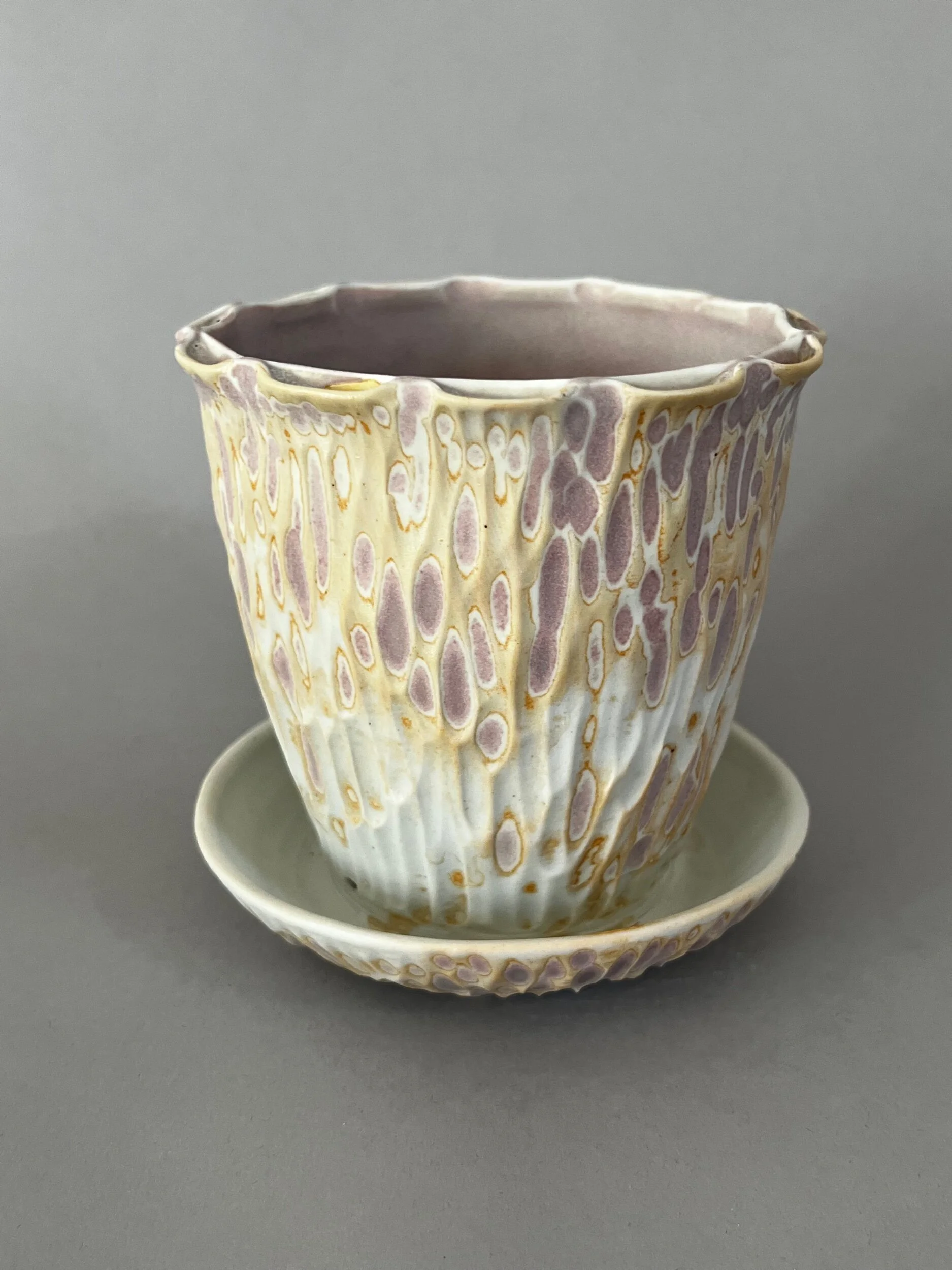 049138A8-96C9-4175-A2B2-7F7E99719731