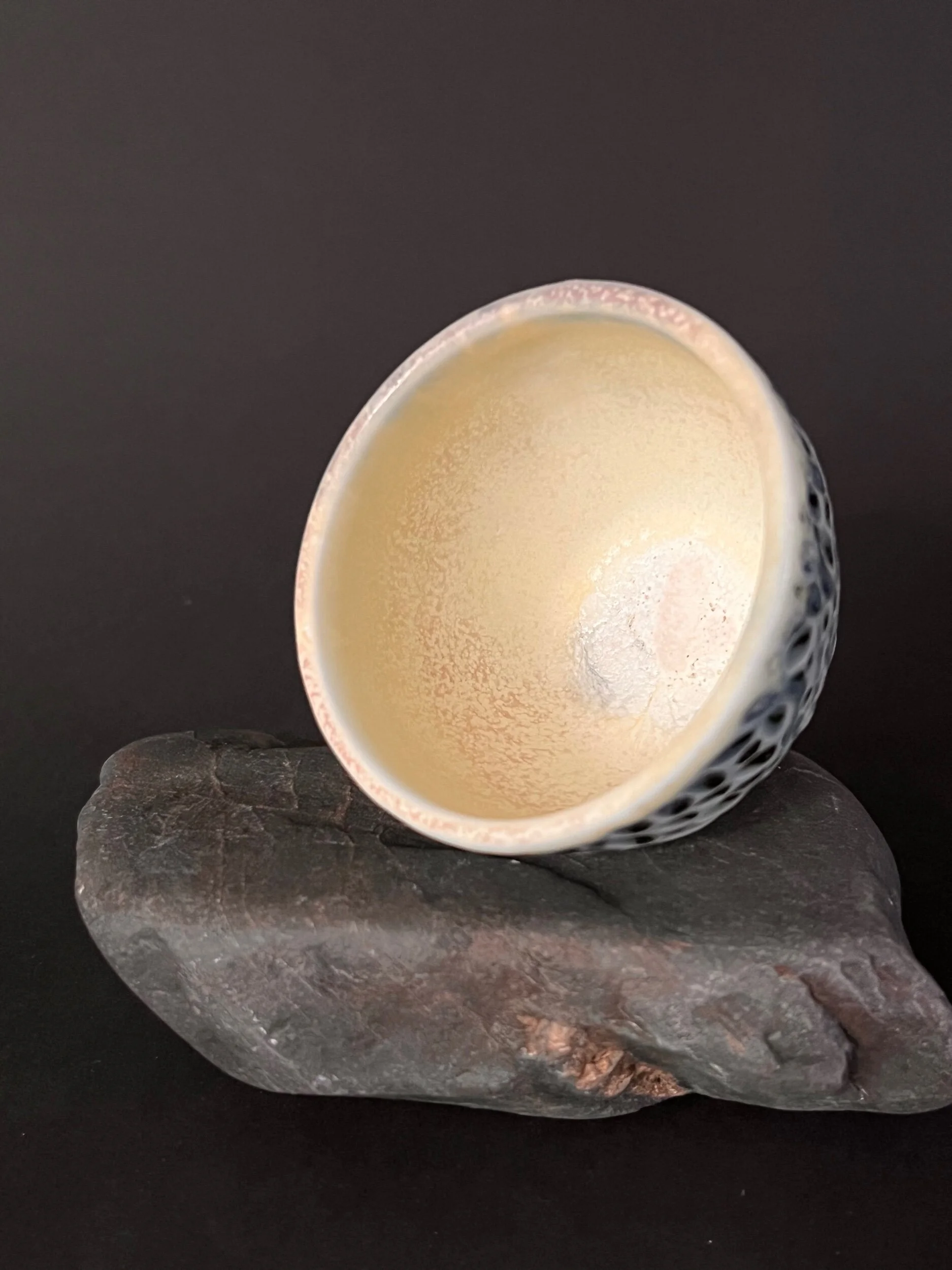 10946CB9-A272-4C31-9CDE-A7FB3F8187F7