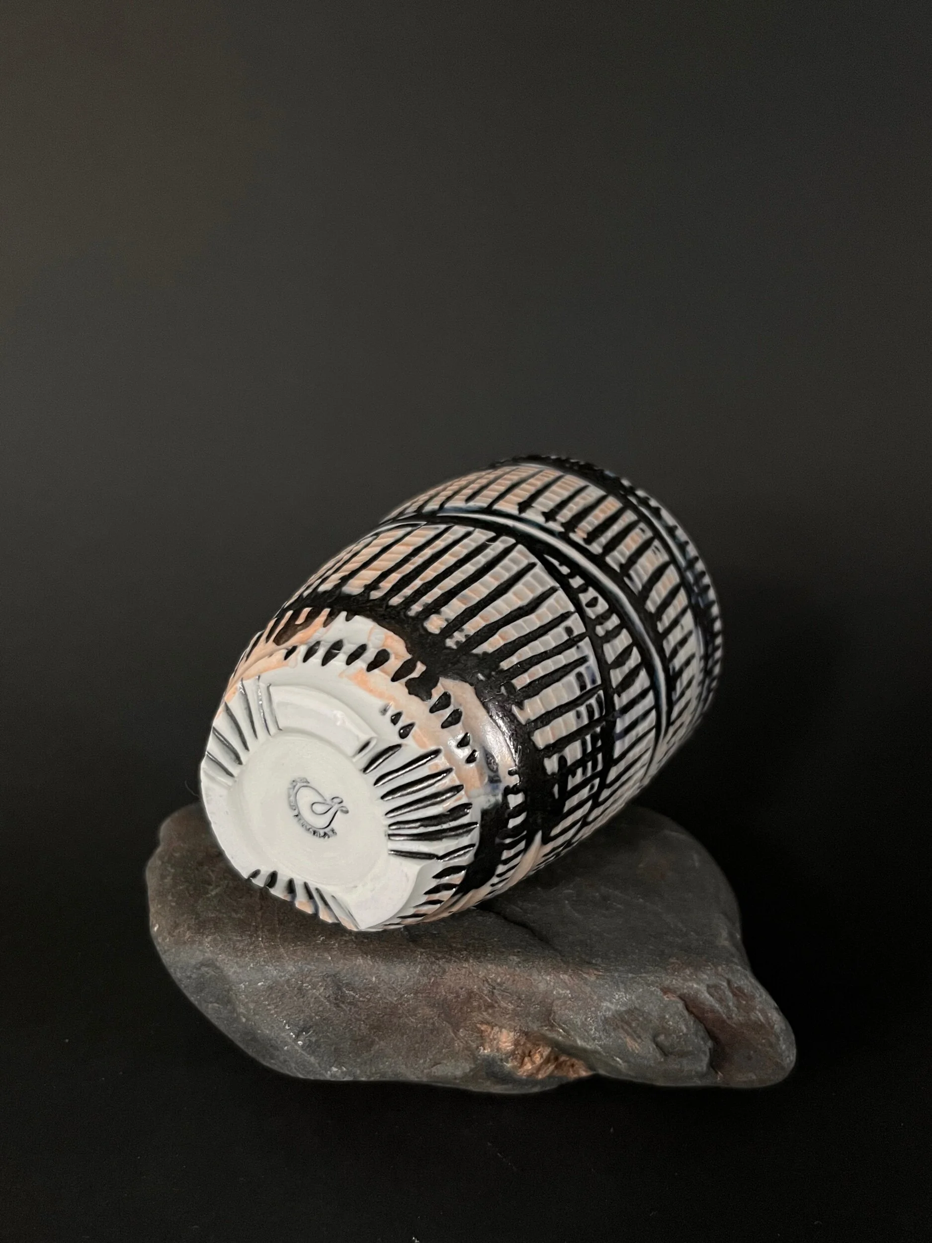 1597292D-1B7E-4274-A7D8-1E5B98B1871B