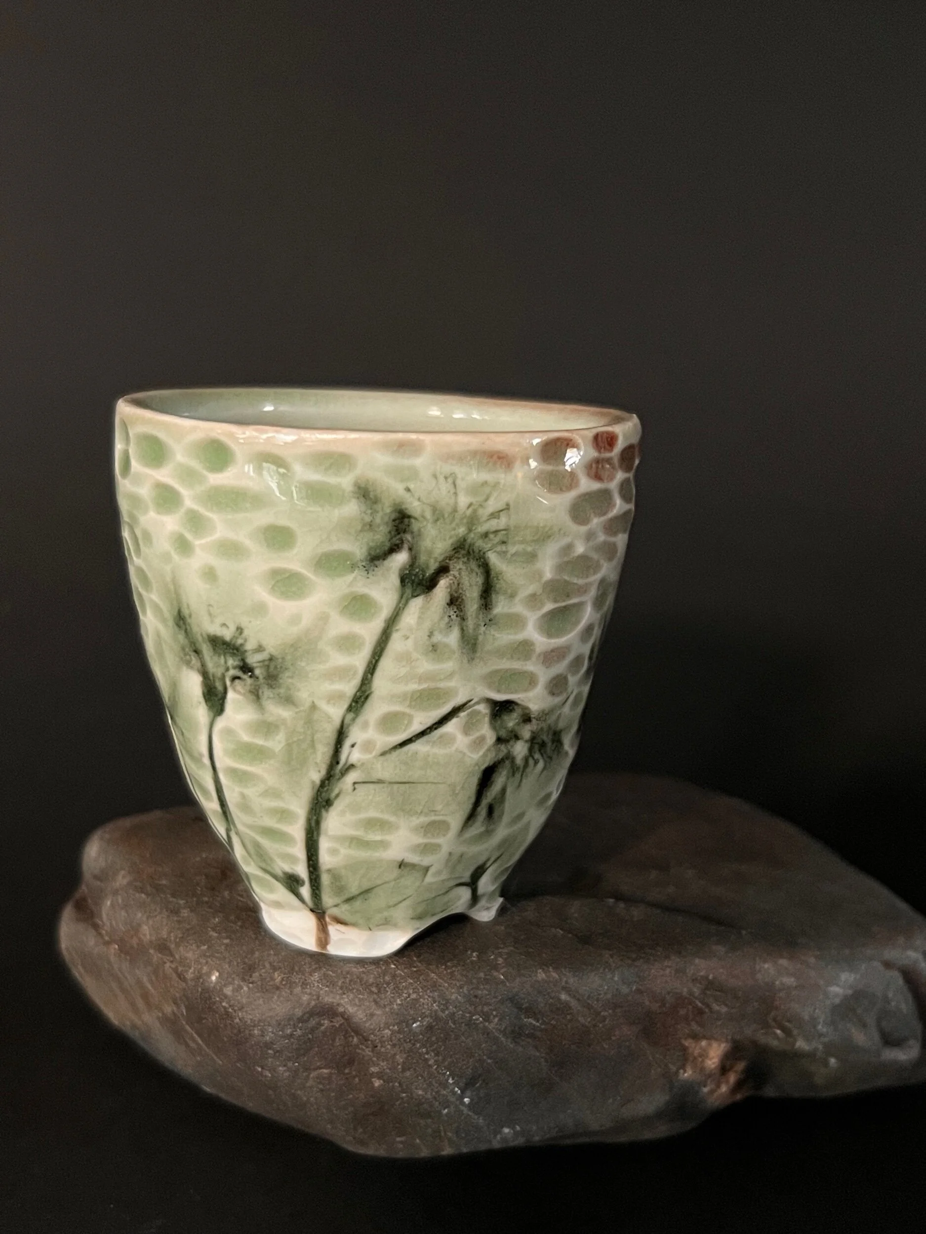 C59B65BD-373A-46AD-A8D6-E4919F5B0E3E