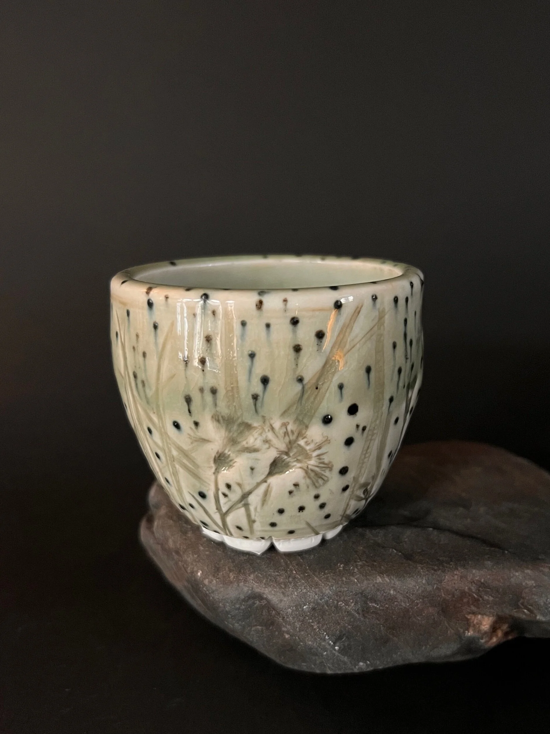 AE938973-A6C9-4ED7-9CC8-31D9F5A08781