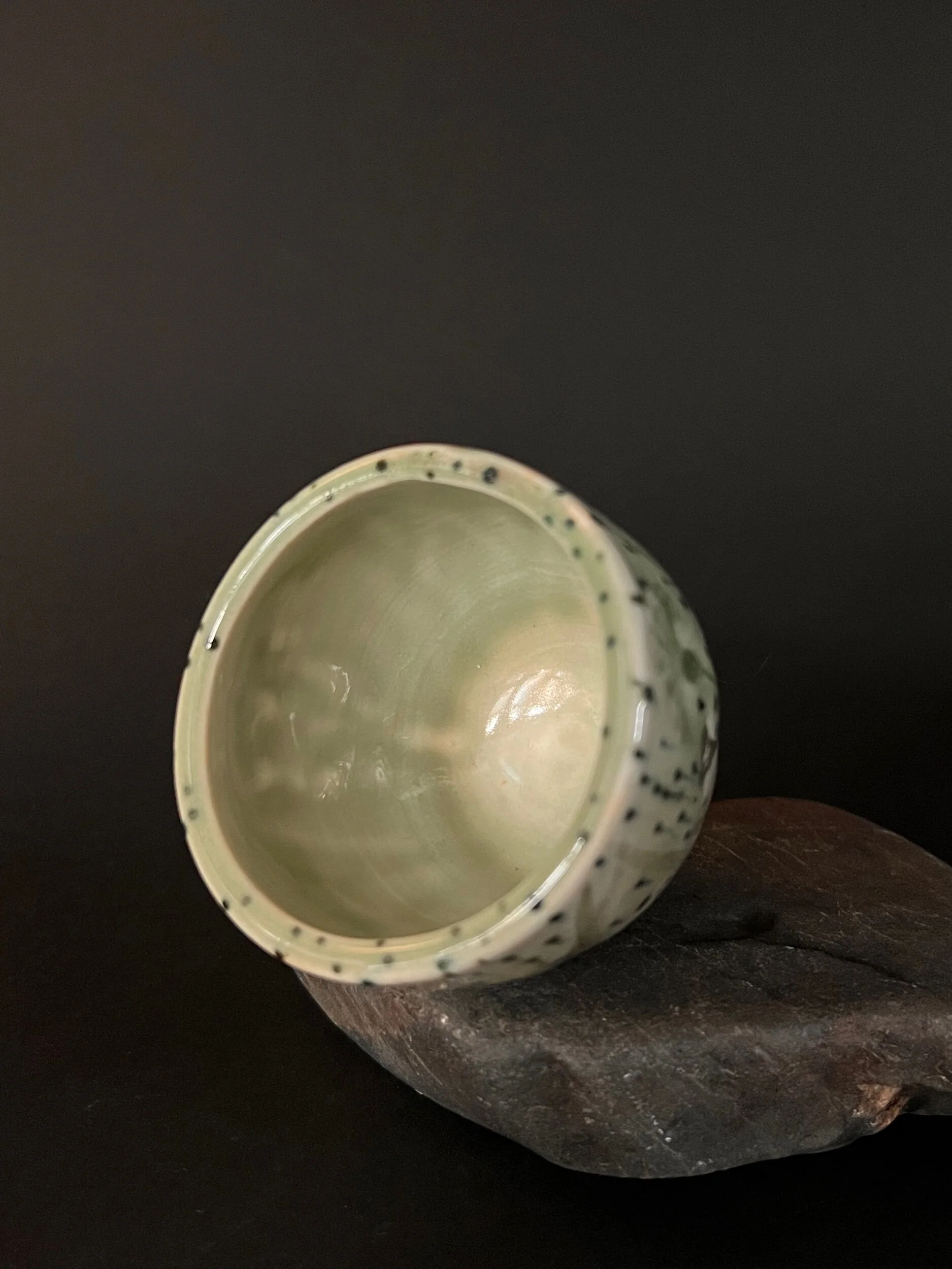 F6C10DC8-9110-466B-85F7-826D9C740F81