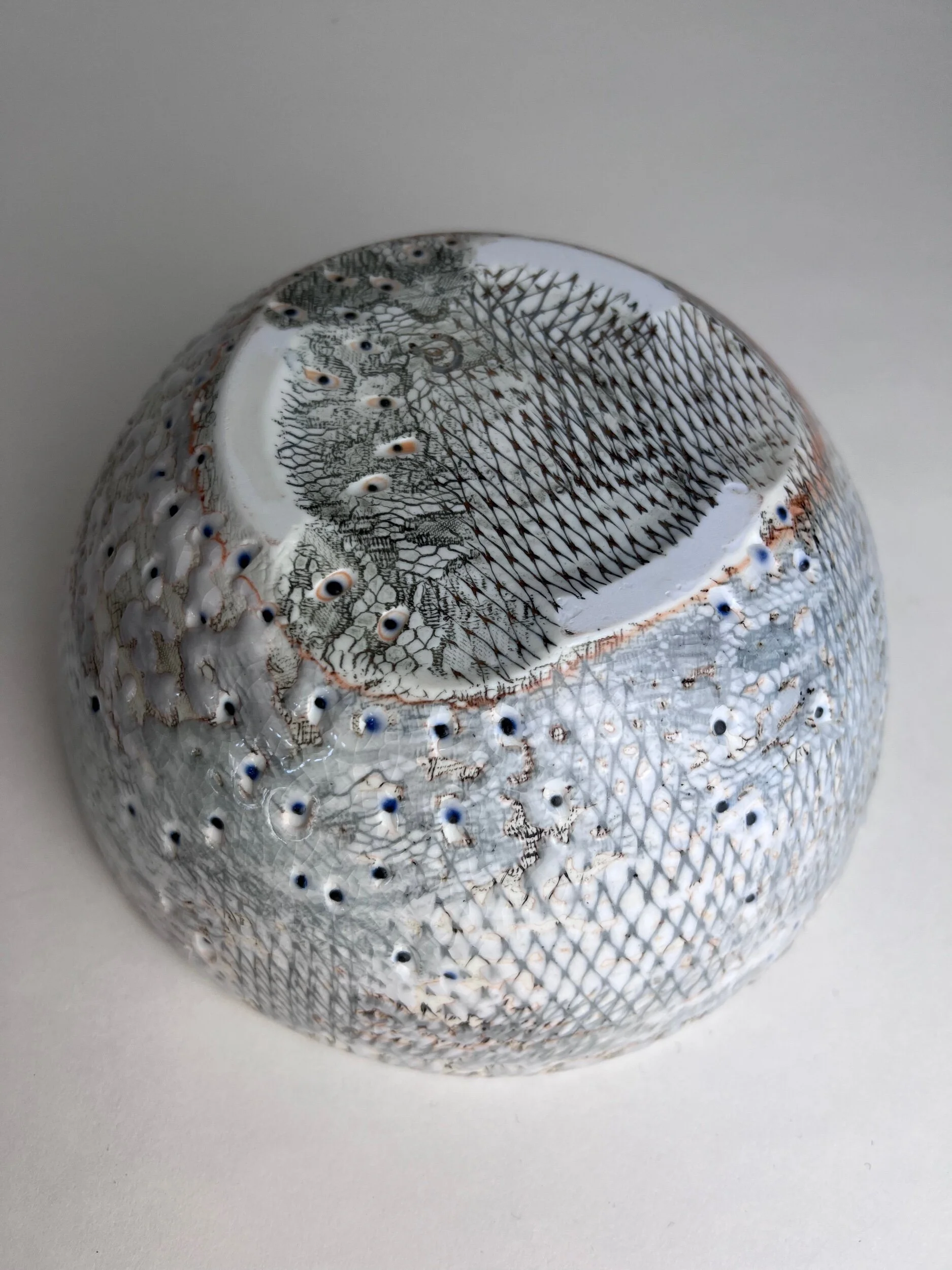 57F1D269-62A1-48FD-BBD0-9294F836BAB5