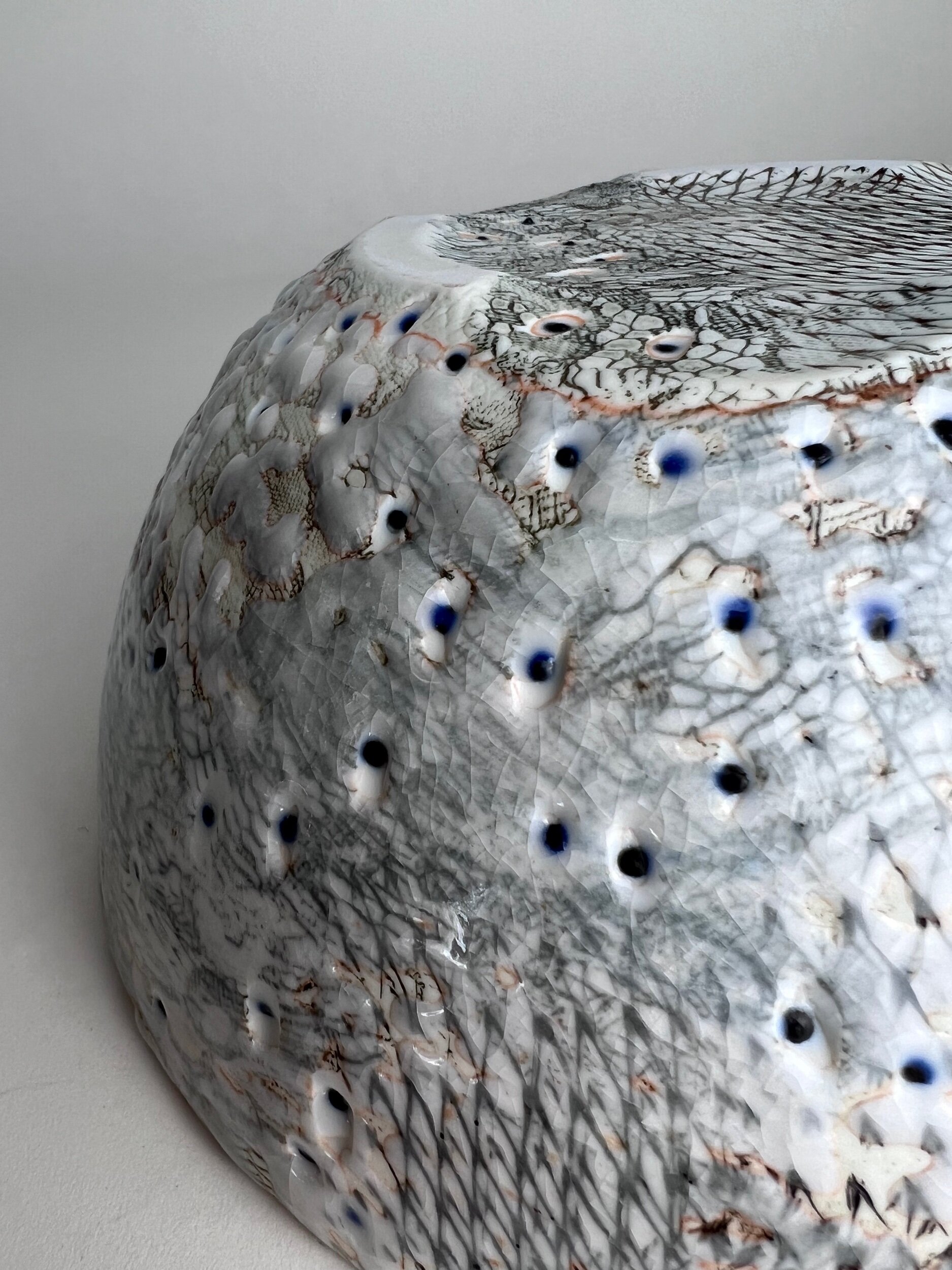 BE9C7F95-D1E0-42D7-928C-FB0D81759355