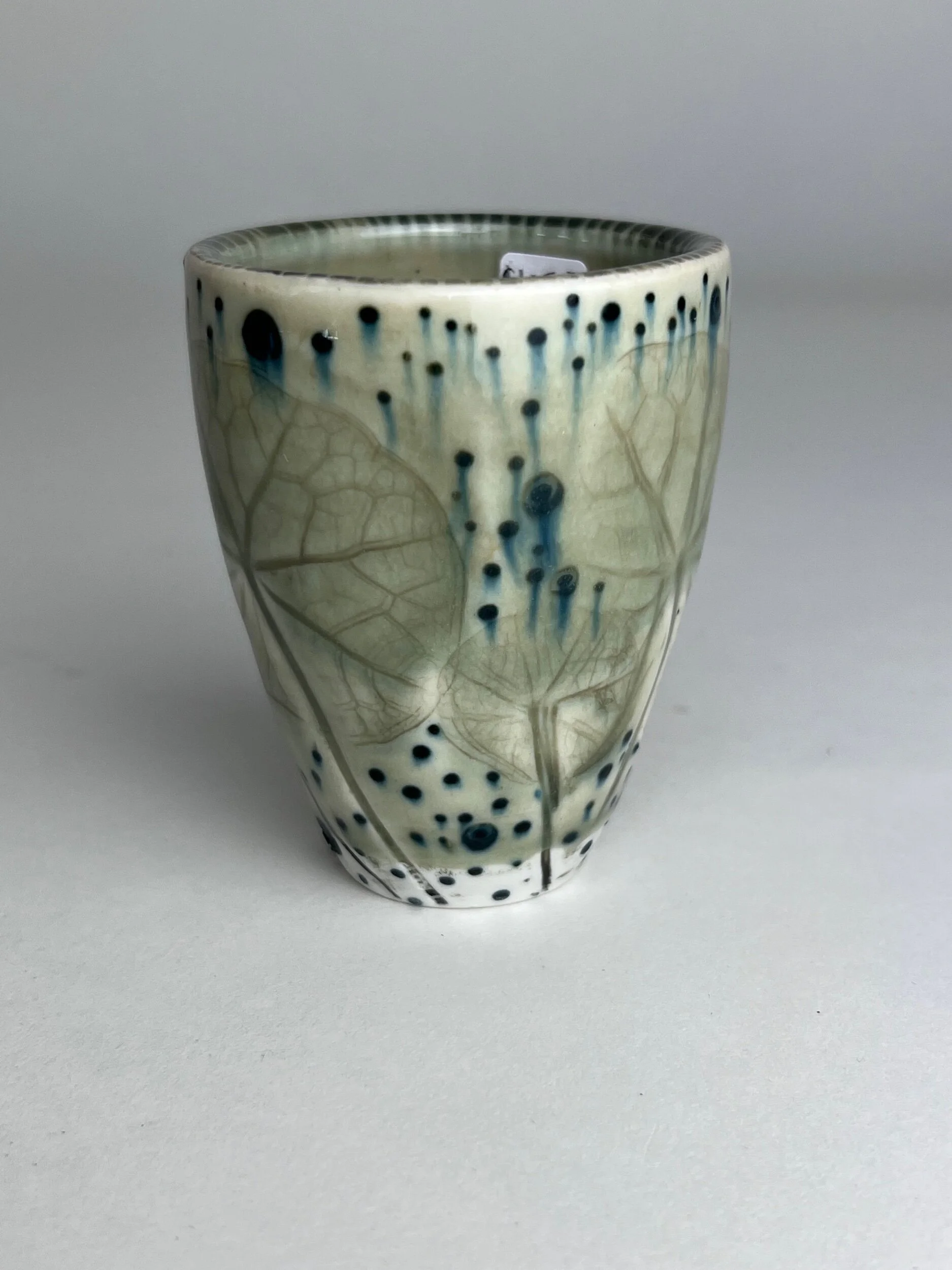 975C8FBC-FDC6-4386-B56F-0D4A2CCDE60A