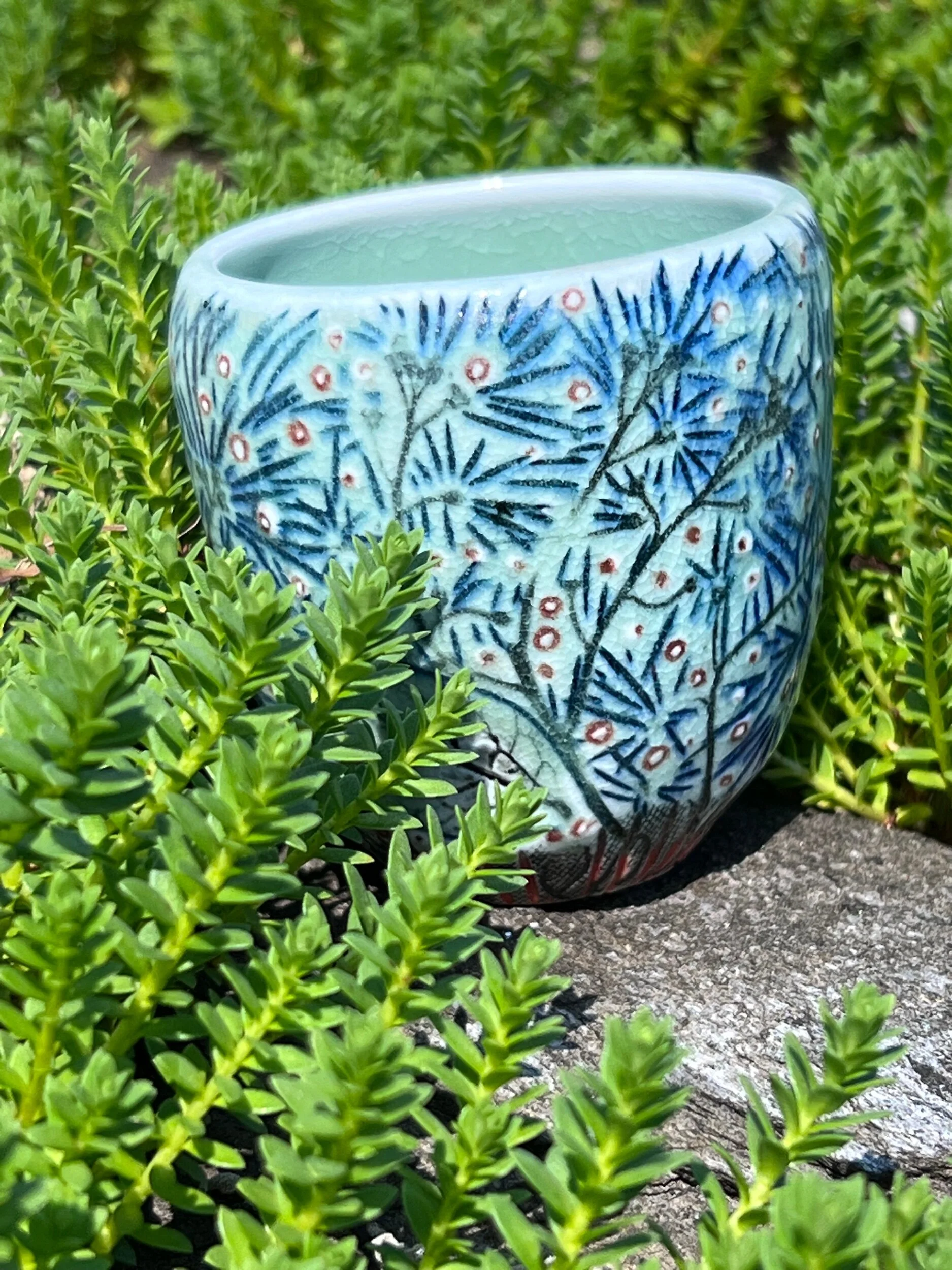 74F07500-5227-418A-8F3E-EE395F7459F4