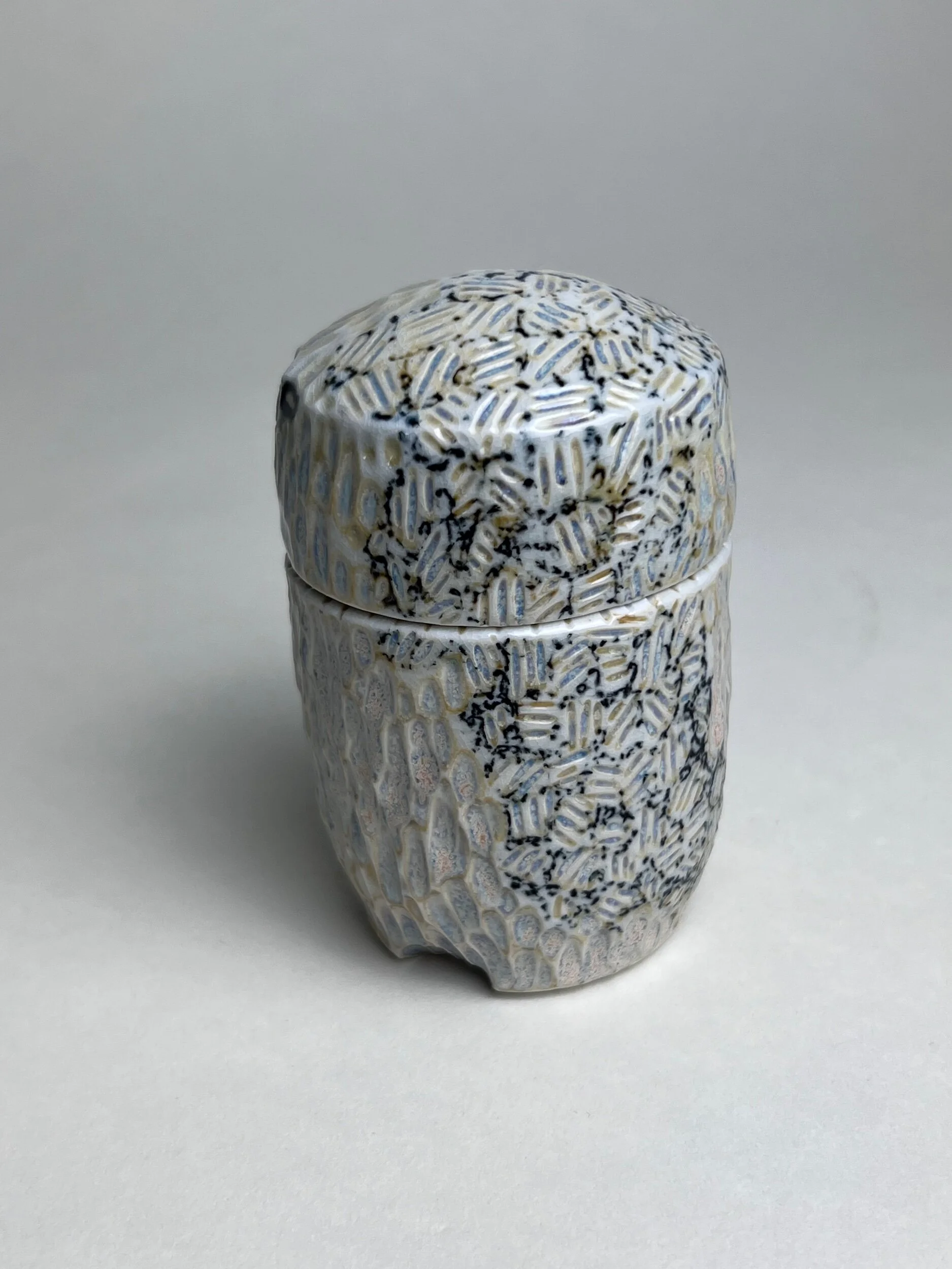 695F8A06-EB0B-4009-A46F-5458BAB8CA26