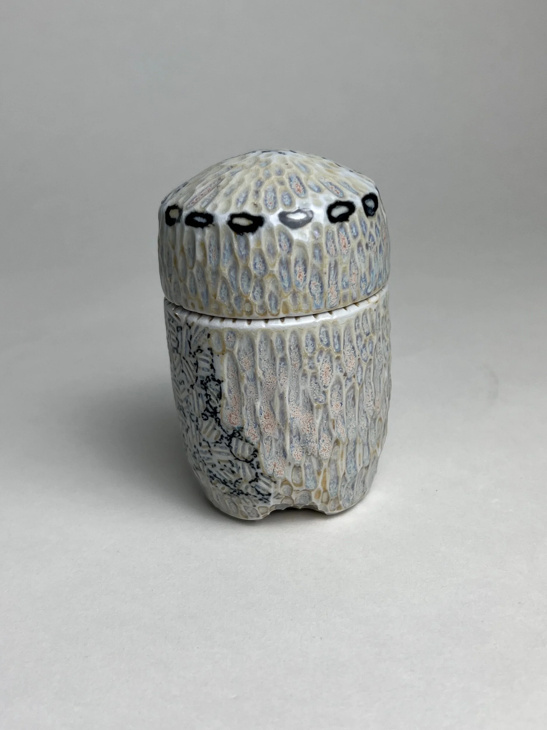 C41D931B-8878-41B0-A4E7-B63A06024B60