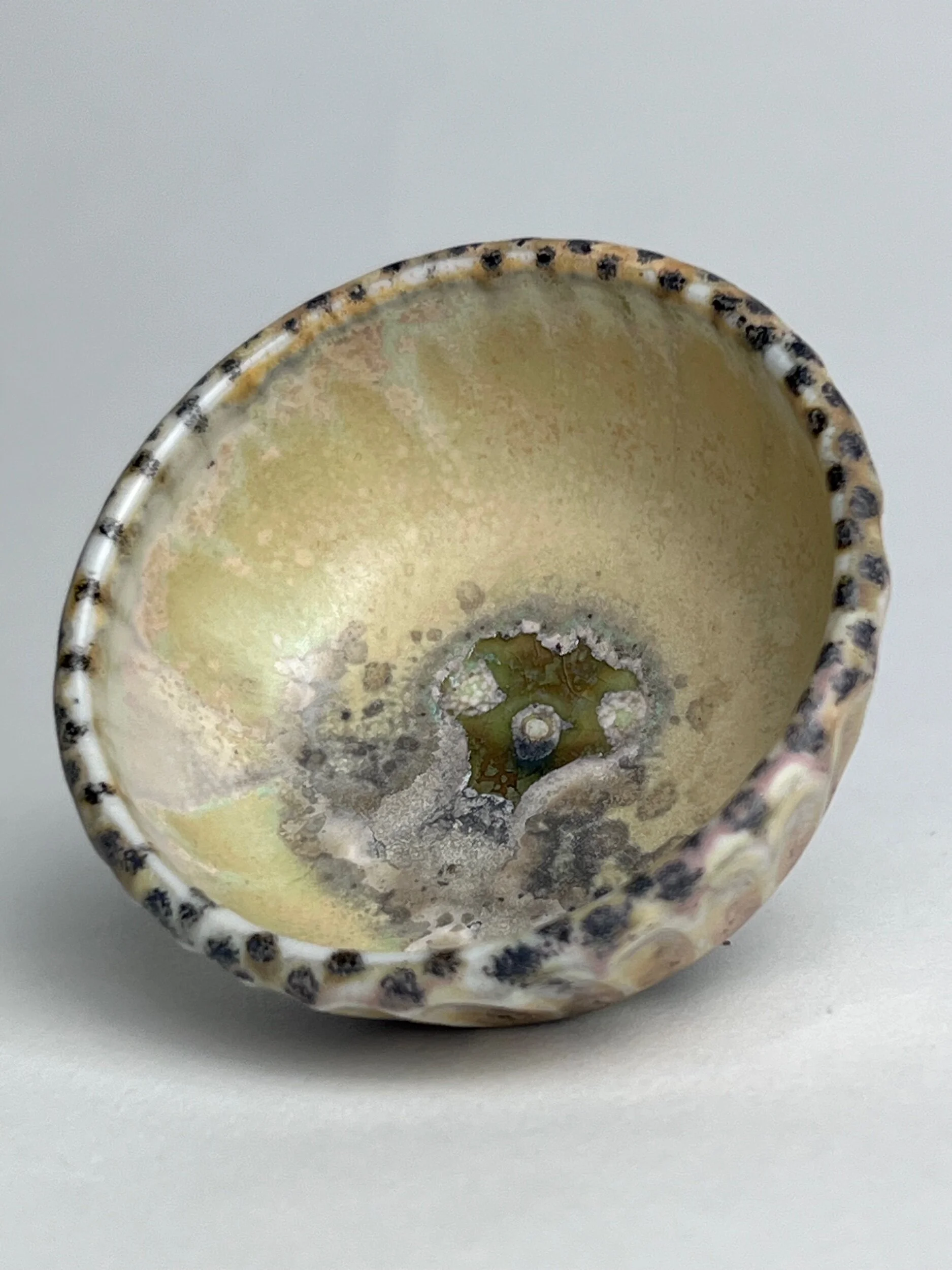 6B02FBB6-6F24-4D4D-9114-C7C8EABEDE35