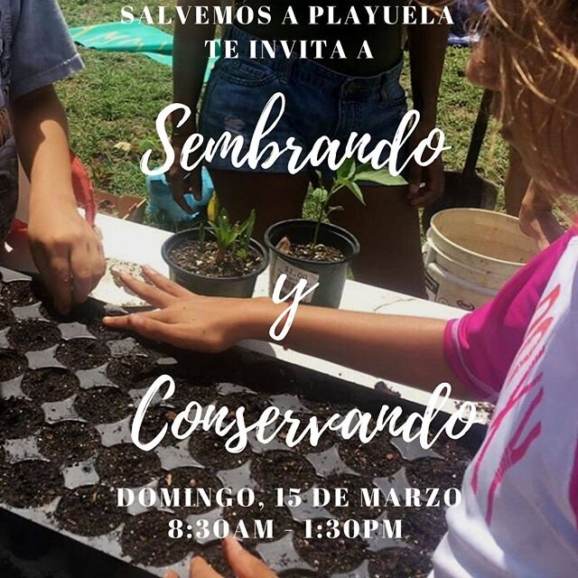 &Uacute;nete a nuestra iniciativa de reforestaci&oacute;n el domingo, 15 de marzo. Ven y disfruta de este para&iacute;so mientras aportas a su conservaci&oacute;n sembrando especies costeras junto a nuestros amigos de @lareselvadepuertorico  y @paral