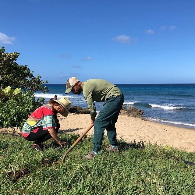 Infinitamente agradecidos con este corillo de gente linda que hoy dijo presente para sembrar futuro y esperanza en nuestro país!!🌱✨🇵🇷 Entre tanta incertidumbre nos unimos como comunidad y sembramos más de 100 árboles dejando u