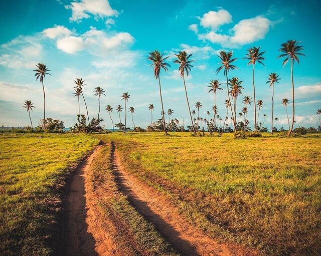 Todo pasa y todo queda🌀🤙🏾 pasemos haciendo caminos que aporten a un futuro mejor 🌴🇵🇷#playuelanosevende #playuelsedefiende #playuelaparaisodetodos #repost @wnieves19 &ldquo;Do not go where the path may lead, go instead where there is no path and