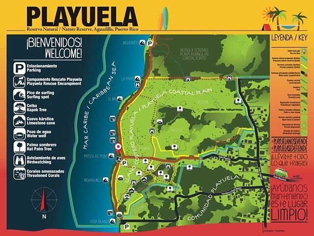¡PR no necesita más cemento... necesita más reservas naturales como esta!🇵🇷🌿 Si estás de acuerdo únete a nosotros. Somos un grupo comunitario comprometido con la conservación y protección del valle de Playuela,