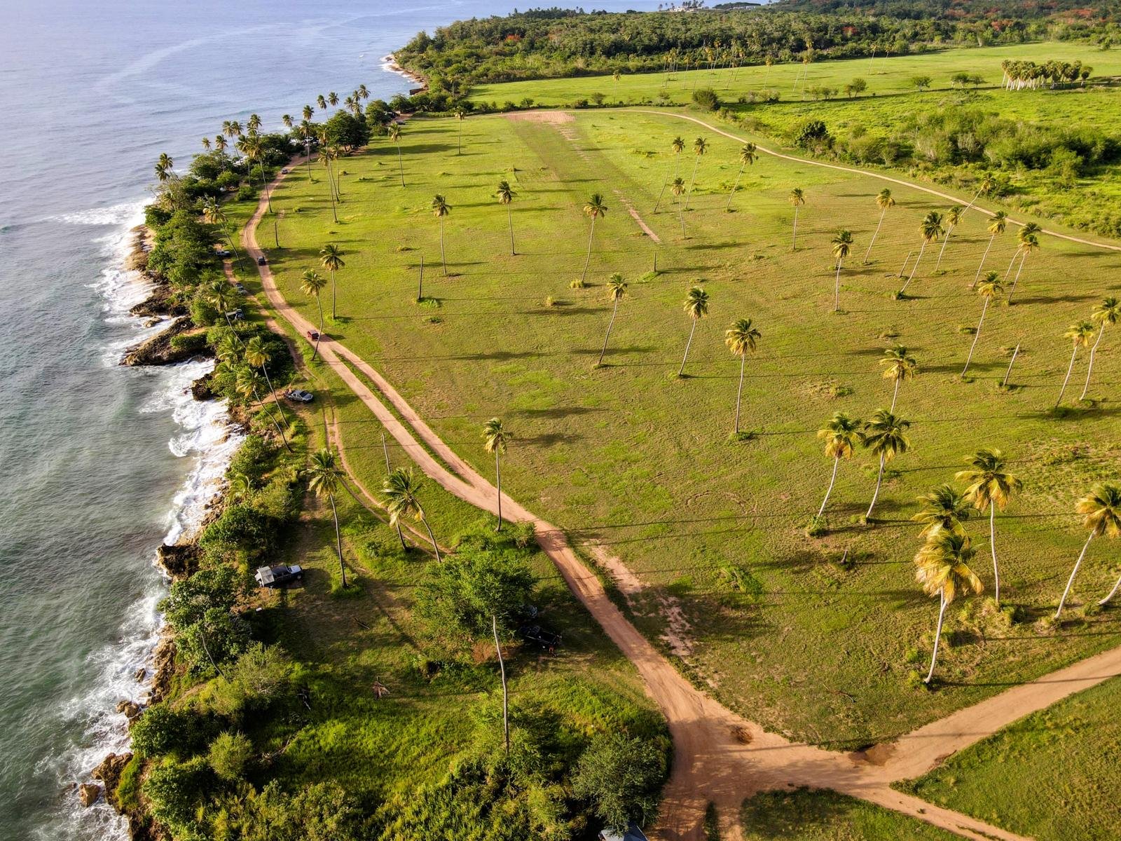 WhatsApp Image 2024-03-26 at 10.21.43 PM.jpeg