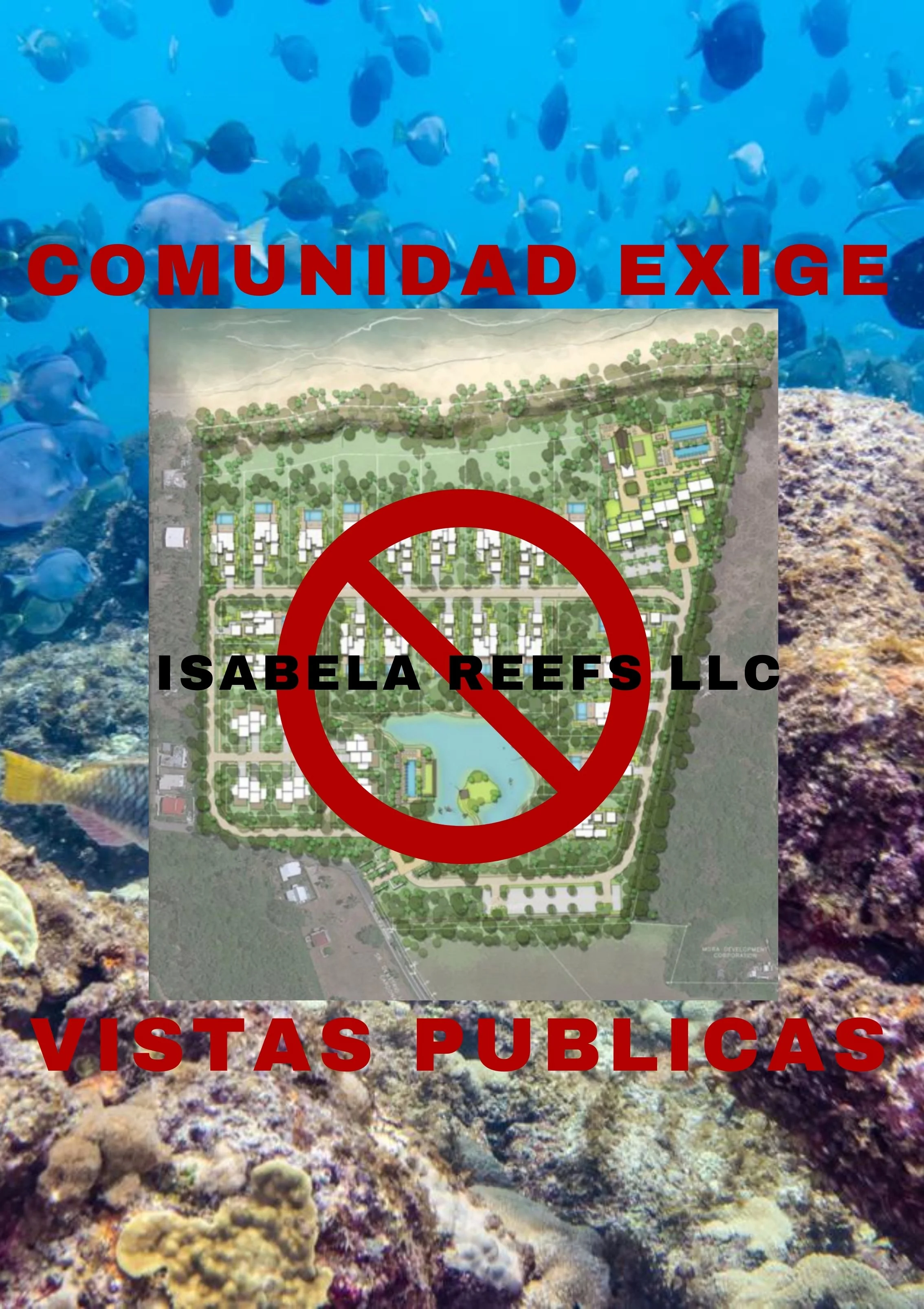 No Isabela Reefs 1.jpg