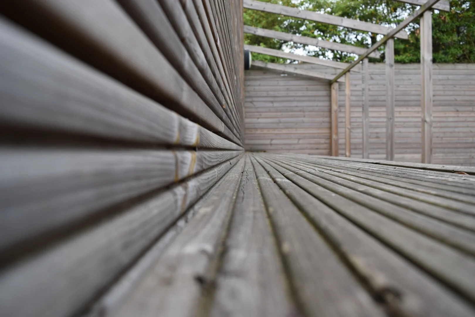 Project Five: Get Started with Photography