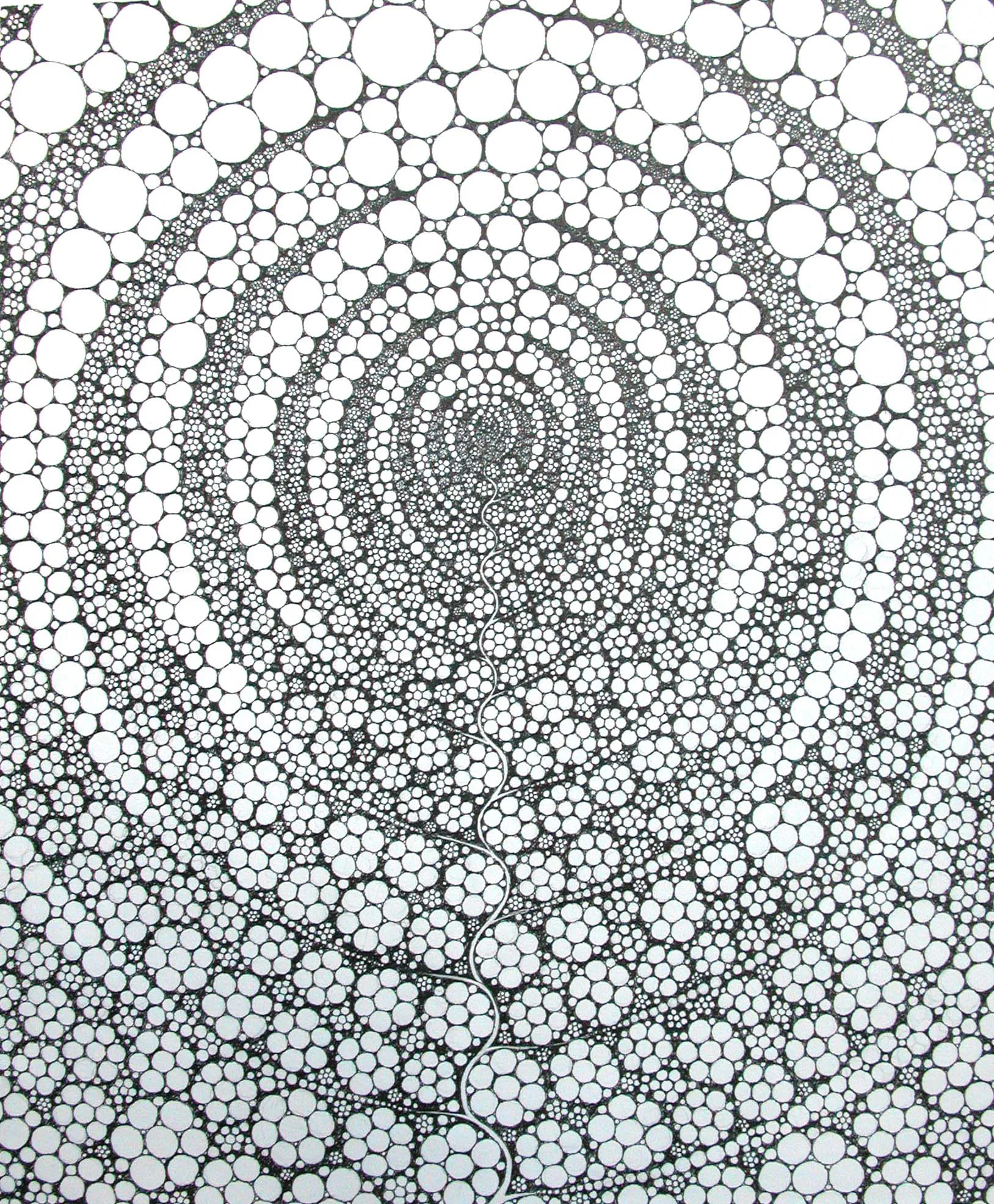 Meristem
