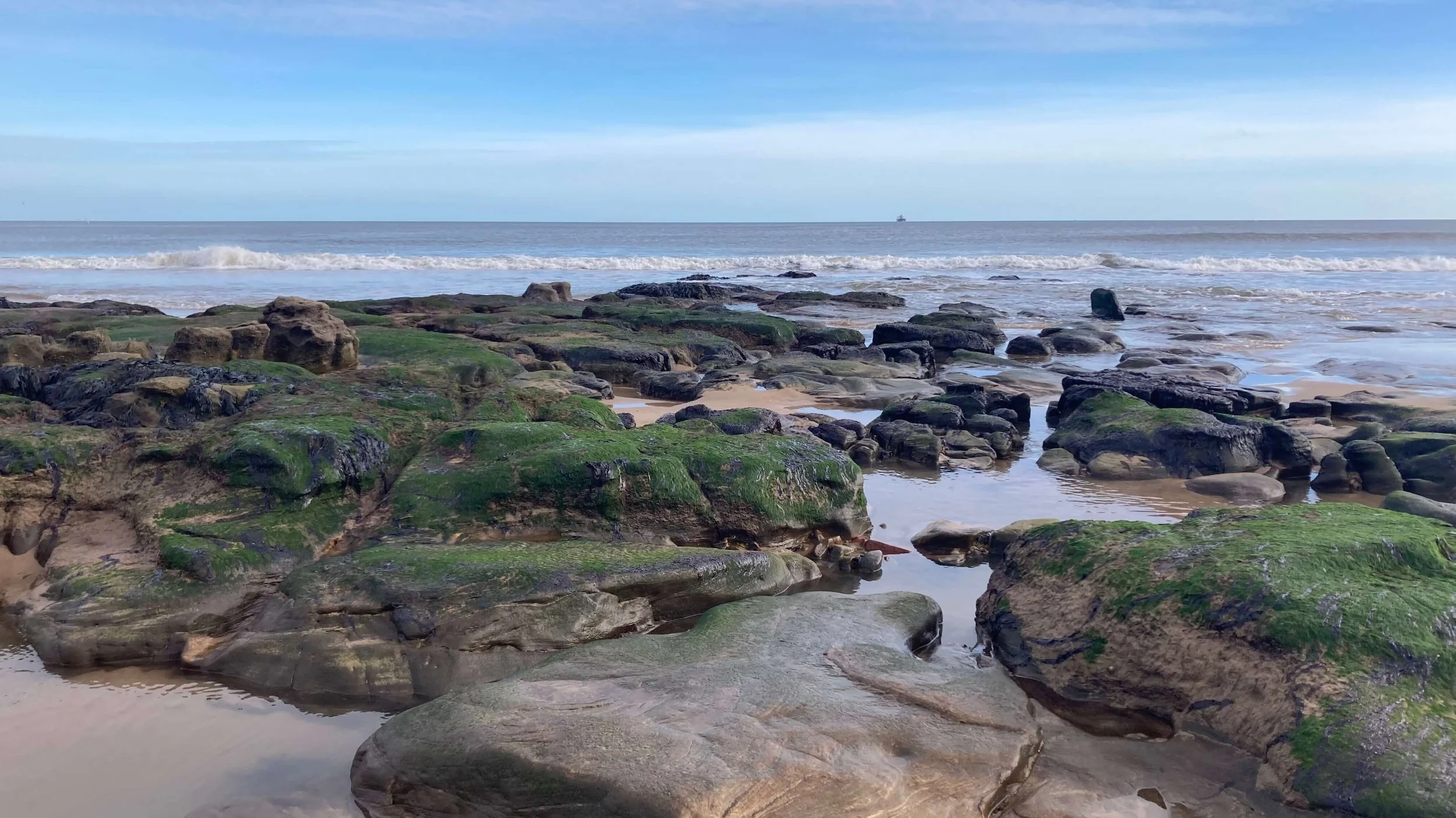 photograph on Tynemouth Longsands from the exposed rocks covered in mosses and whelks with a ferry off in the distance