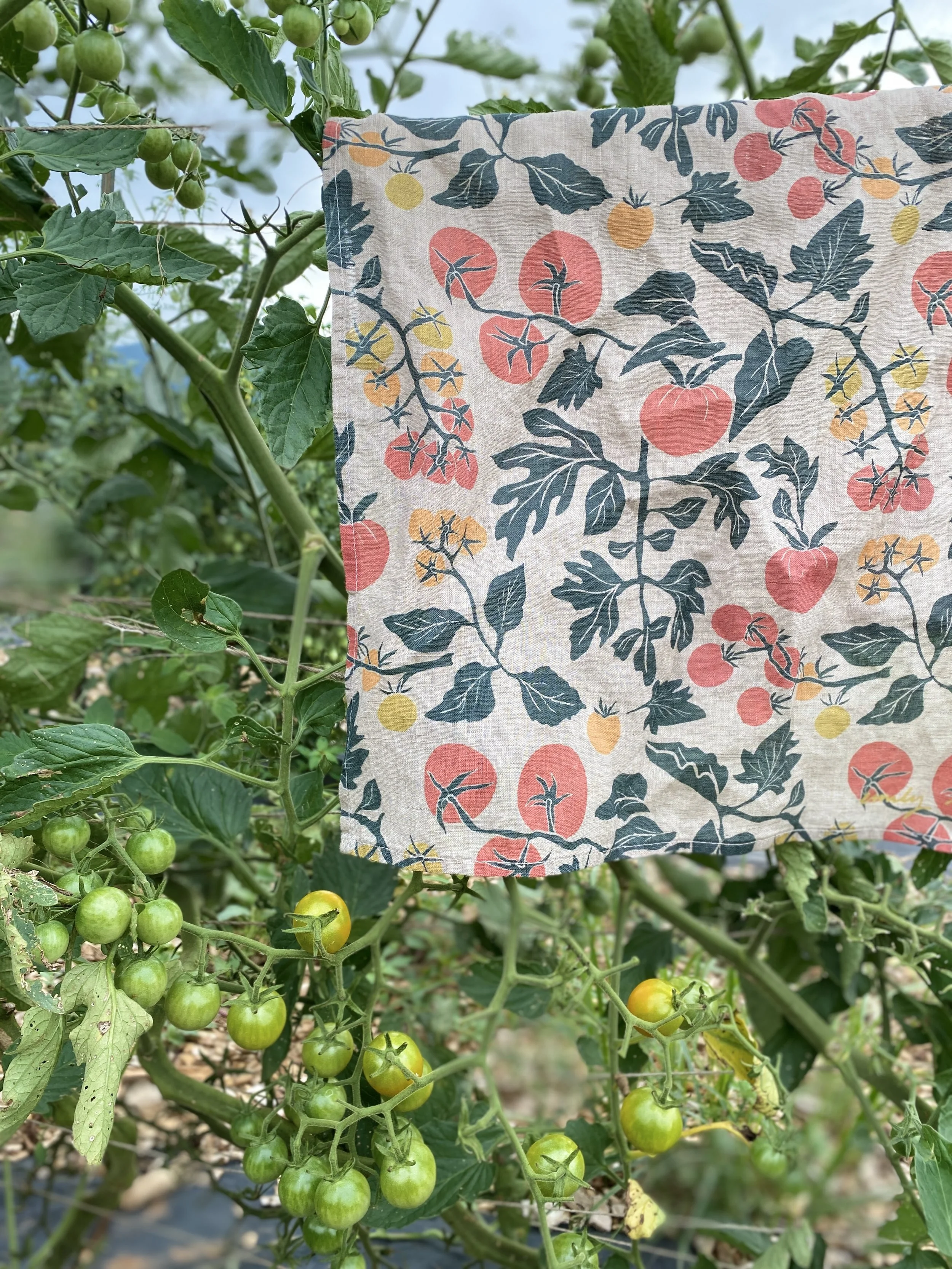 Tomato Tea Towel (light)