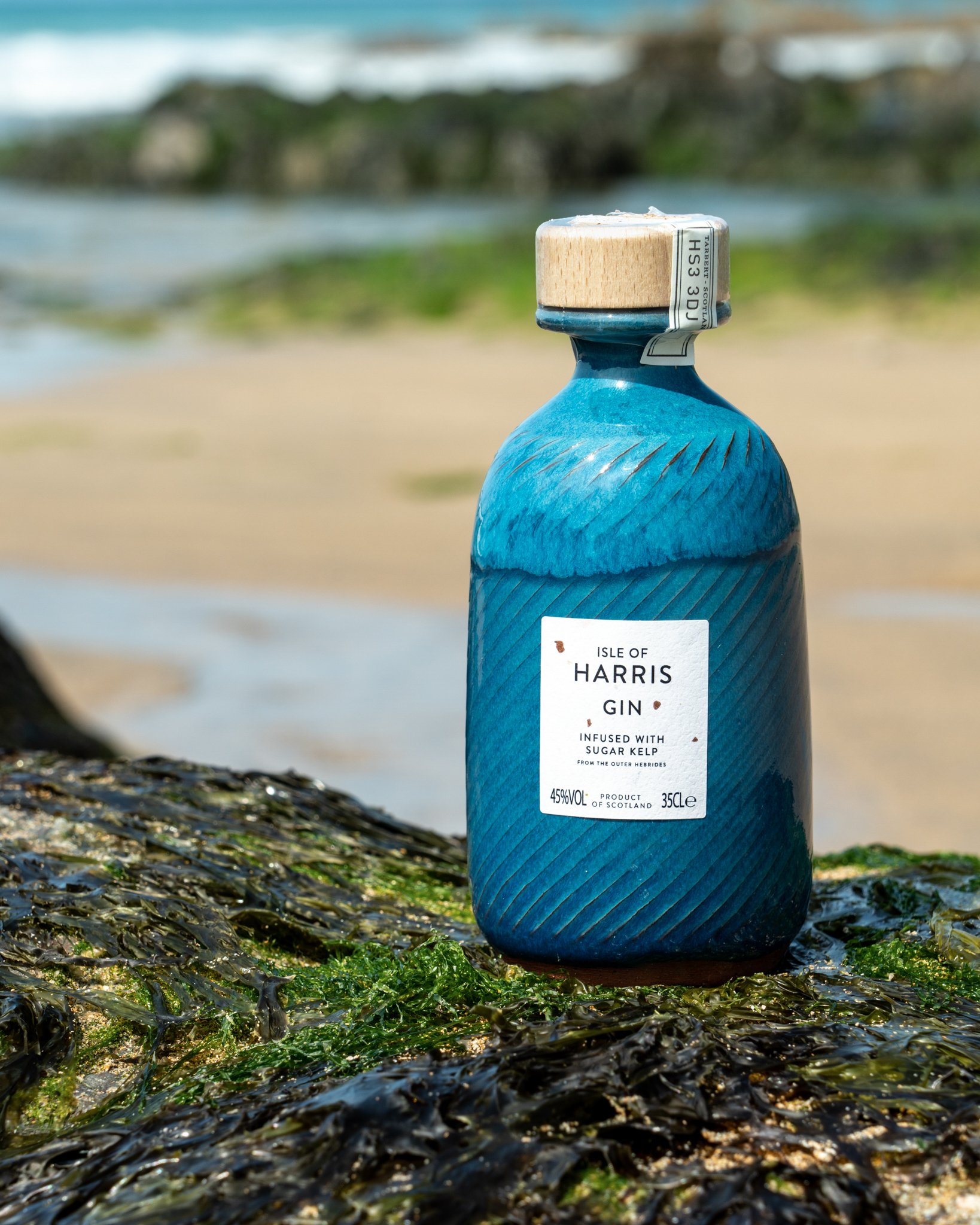 Ceilidh Bottle by Rupert Blamire (For Isle of Harris Gin) (Copy)