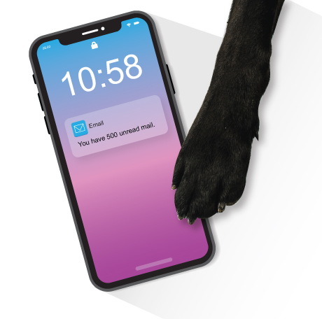 Image_Socialmedia.jpg