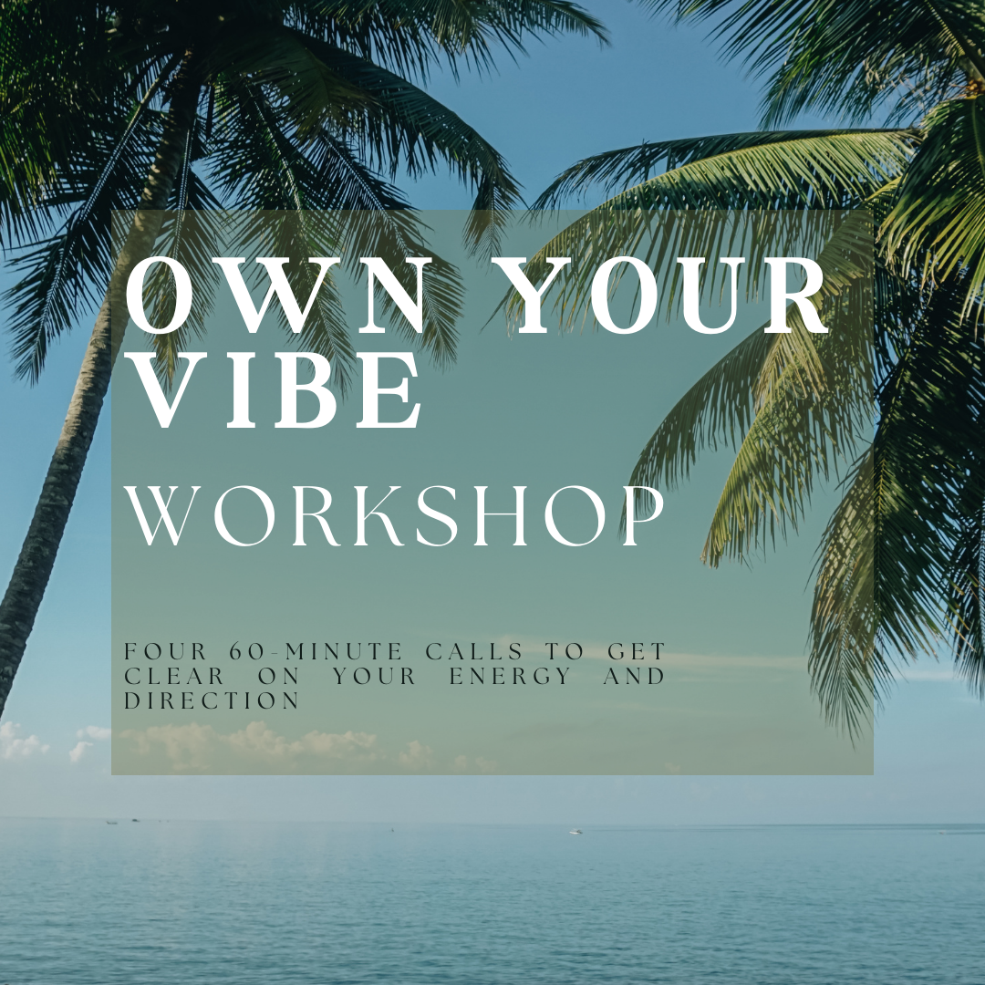 Own Your Vibe Workshop