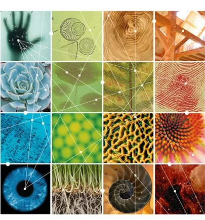 LivingFuture Foundation Launches Regenerative+Vegan Conservation Project