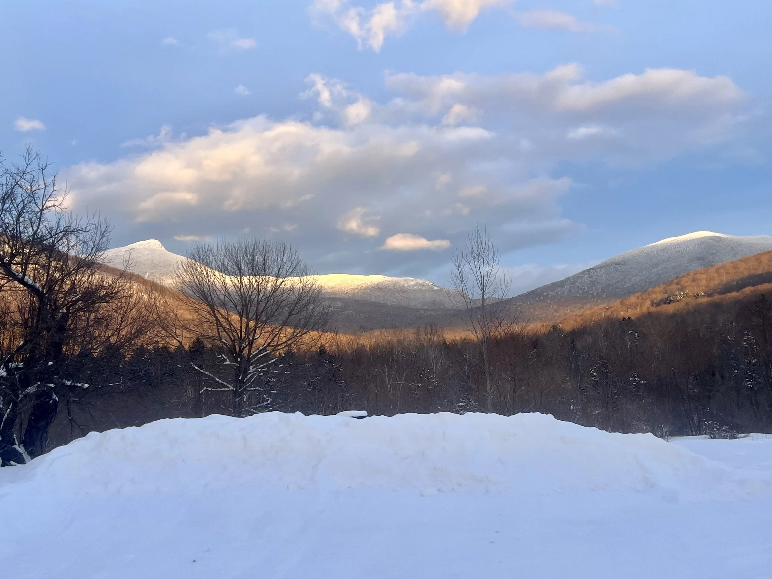 Toward a Kinhip-Based Land Conservation Model